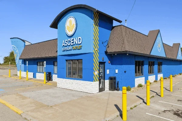 245186_455552 (1).webp