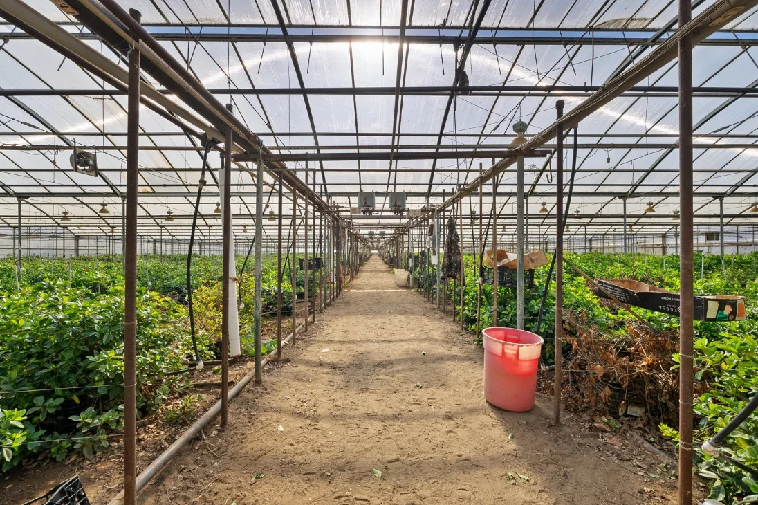 Watsonville, California 2.webp