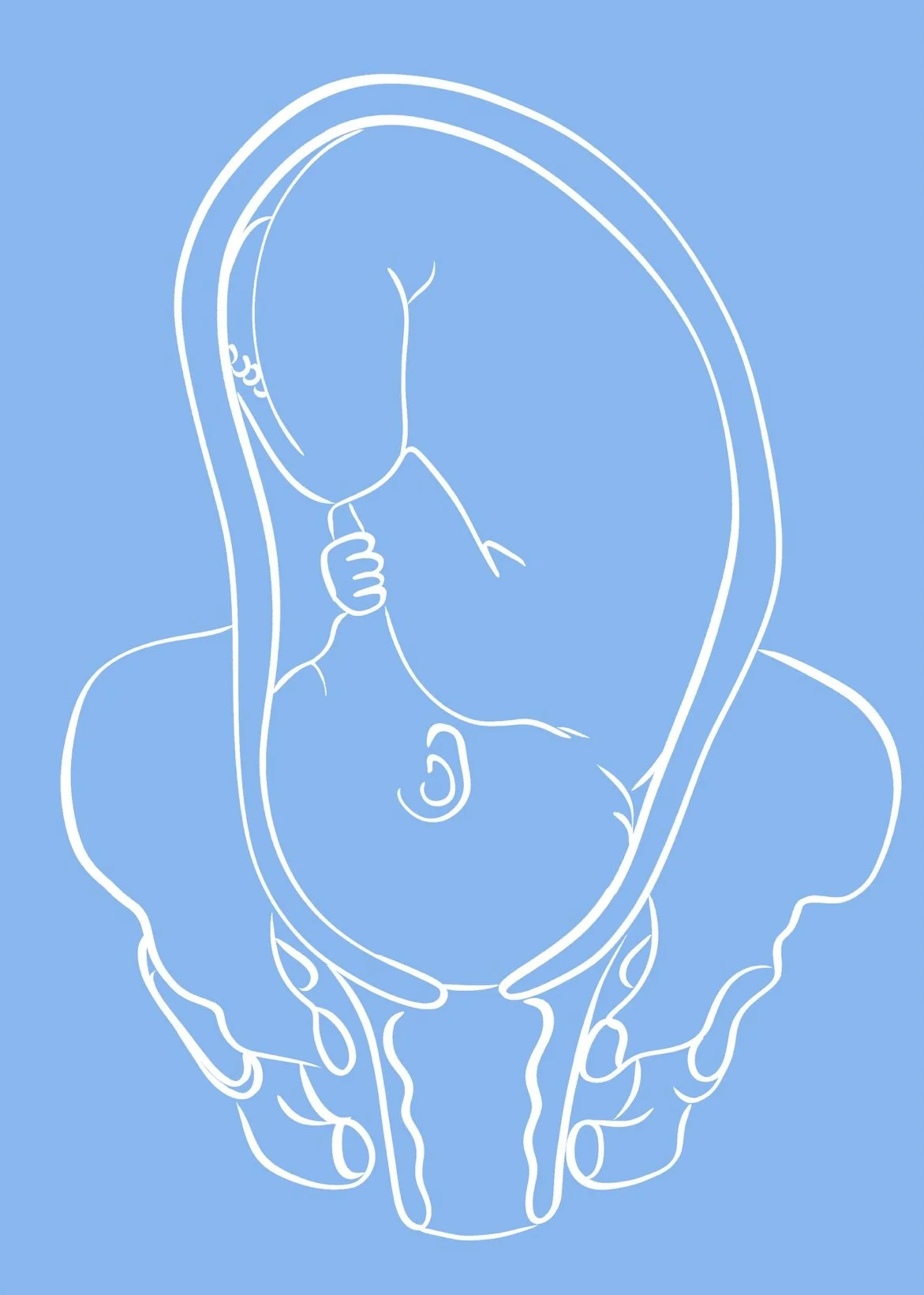 F55FAE76-A095-46BA-B5EF-C24B43D7517B.jpg