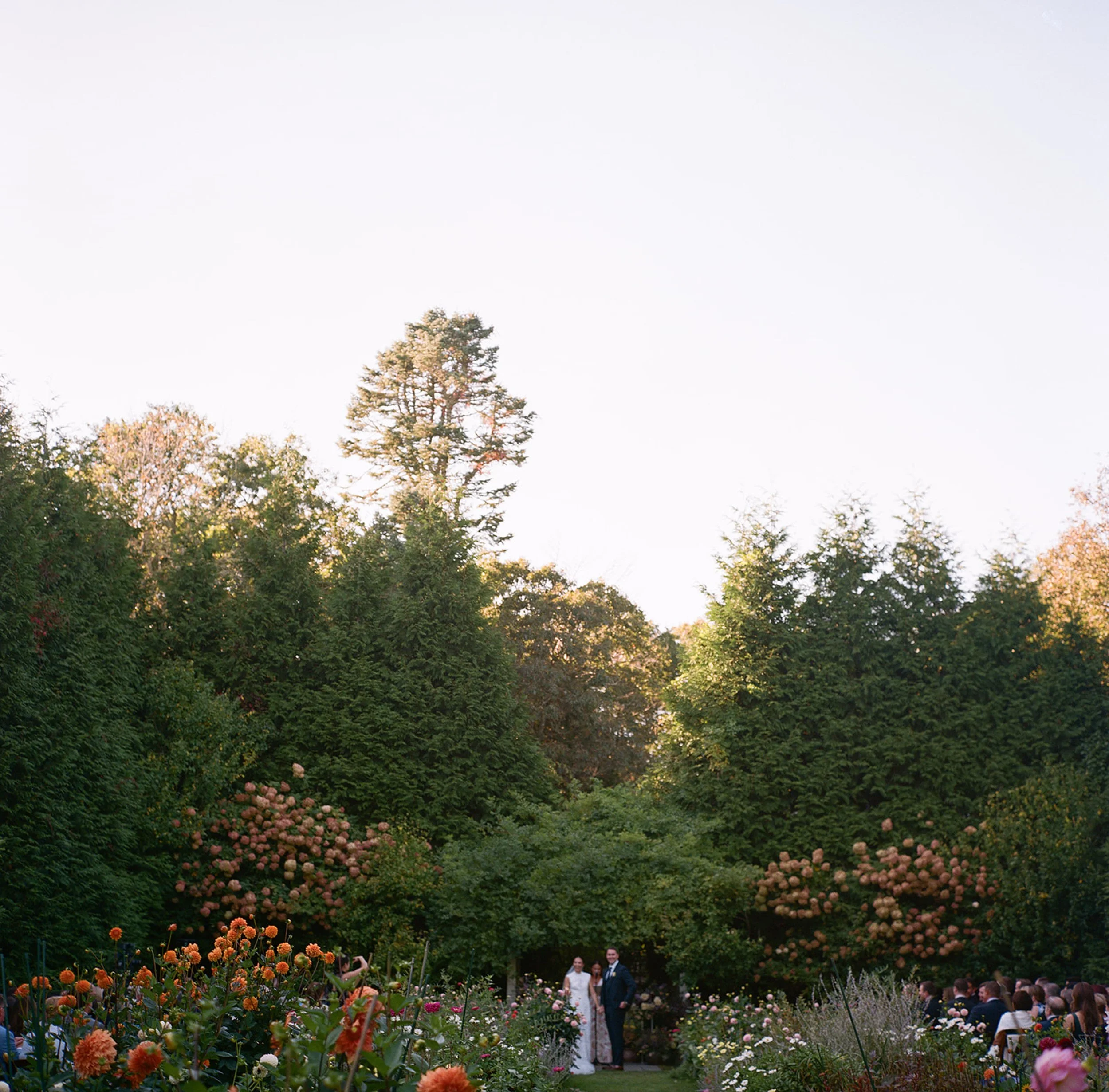 Wedding couple standing under a large oak tree in a garden with blooming flowers, guests seated nearby, during daytime.