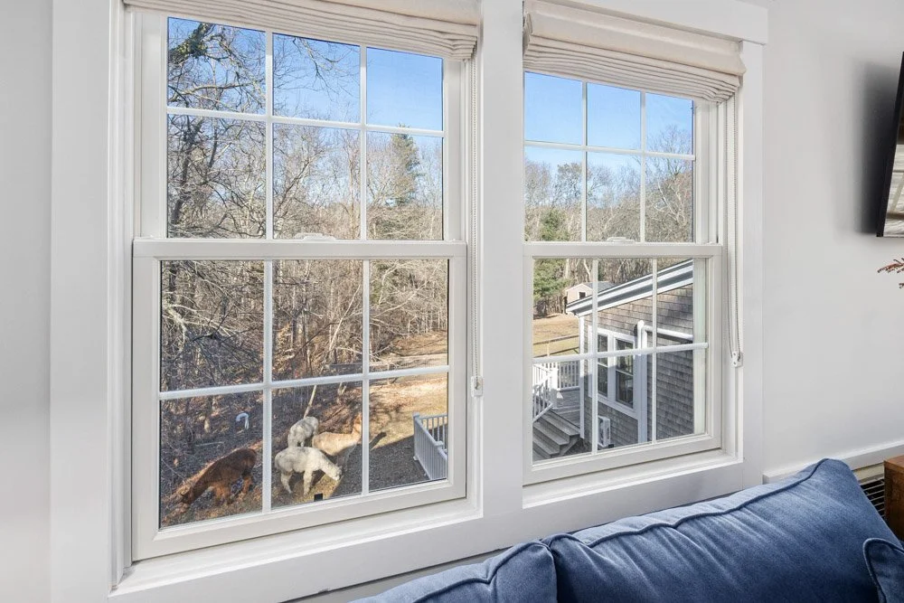 View from inside a house through two double-hung windows, showing a backyard with leafless trees, some rocks, and a neighboring house with a deck.