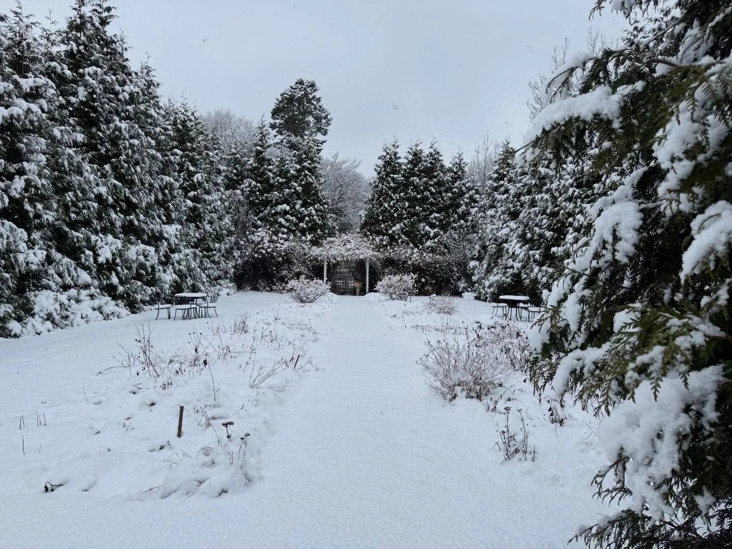 The happiest of holidays from Lambert&rsquo;s Cove Inn! Each season brings so much growth and beauty and we wish both beauty and growth to all of you in 2026. Special wishes of hope and love to all our couples who have gotten married over the seasons