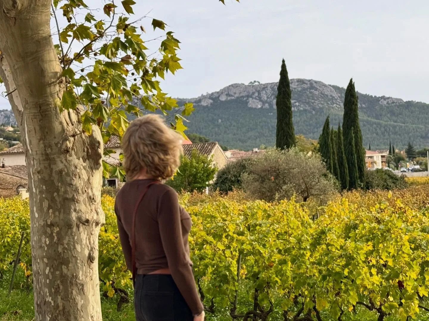 One of the deepest joys of being in the hospitality and food and beverage industry is developing partnerships with artisans whose values align perfectly with yours. How lucky we are in the off-season to be able to travel! And to visit farmers and vig