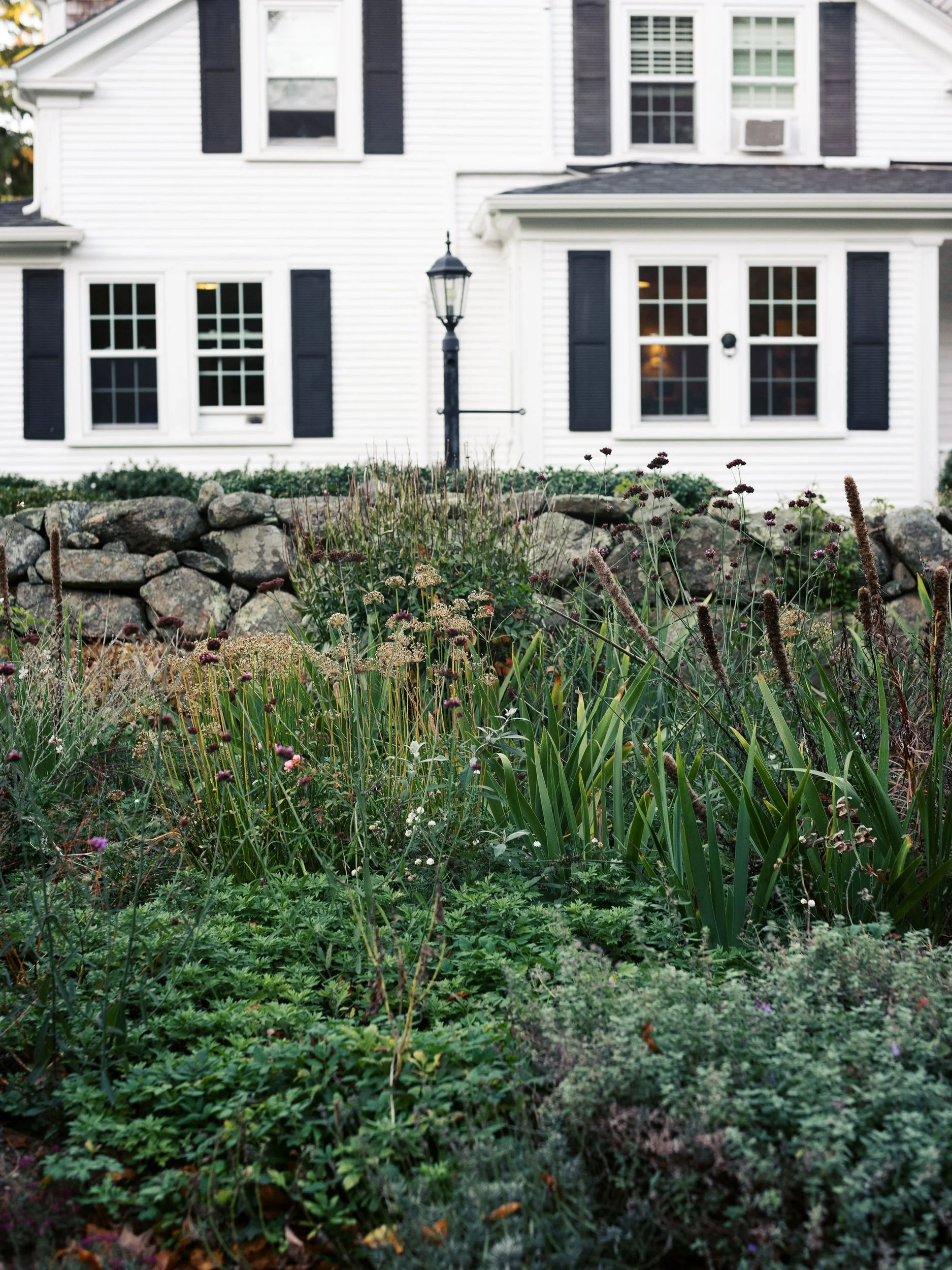 The exterior of Lambert's Cove Inn on Martha's Vineyard, with black shutters and a front yard filled with various green plants and flowers, a stone border, and a black street lamp in front of the house.