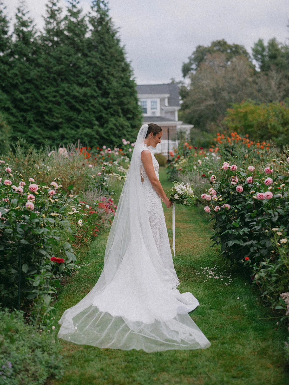 A bride in a white lace wedding dress and veil stands in a rose garden with pink, red, and orange flowers, holding a bouquet and looking down, with a gray sky and house in the background during a wedding at Lambert's Cove Inn on Martha's Vineyard.