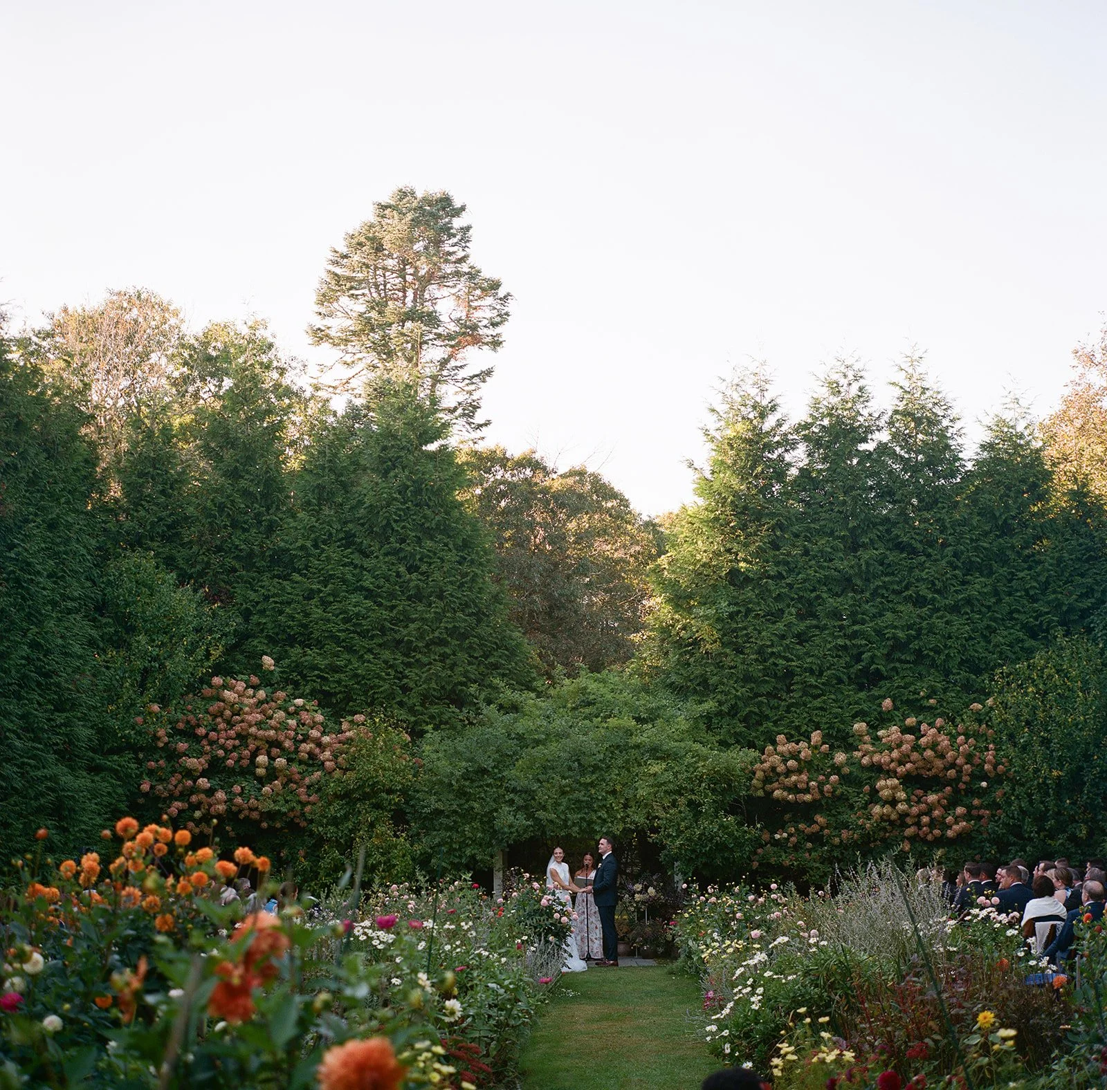 A wedding ceremony taking place outdoors in a lush garden with tall trees and blooming flowers at Lambert's Cove Inn on Martha's Vineyard, with an officiant and a bride and groom holding hands in the center, surrounded by seated guests.