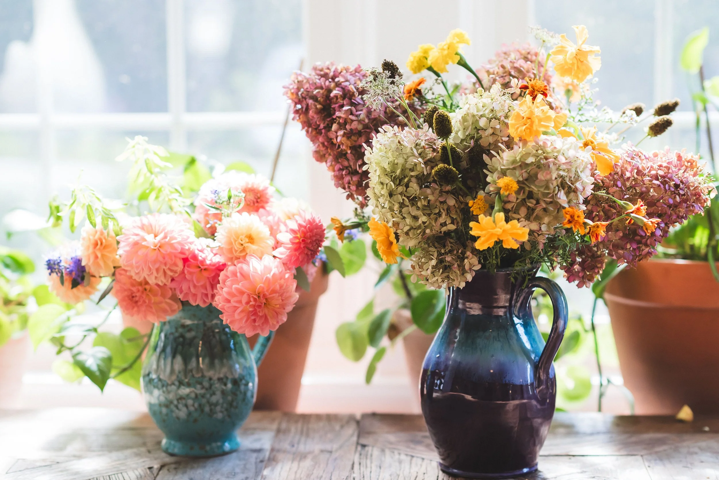 Multiple colorful flower arrangements in vases placed on a wooden surface near a window at Lambert's Cove Inn on Martha's Vineyard.