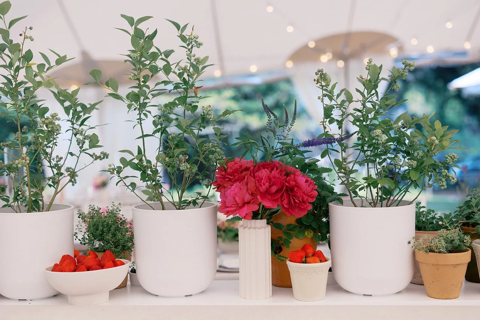 Various potted plants and flowers, including pink peonies, in white and tan containers on a table outdoors.