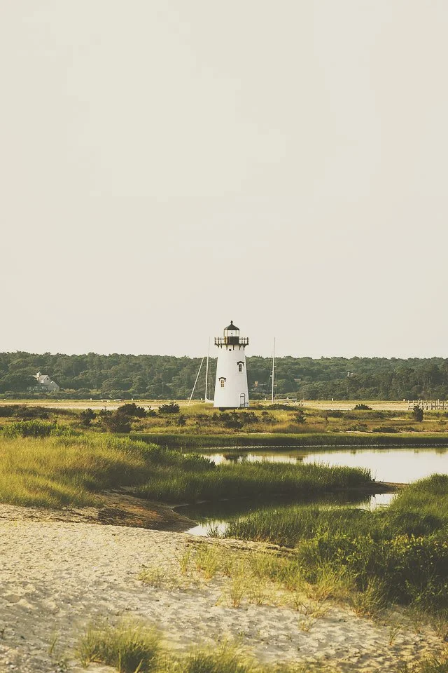 A lighthouse on a grassy shoreline near a body of water, with trees and a distant building in the background.