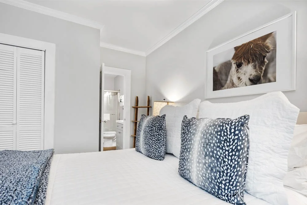A neatly made bed with white linens and patterned pillows in a bright, modern bedroom with a framed picture of a pony on the wall.
