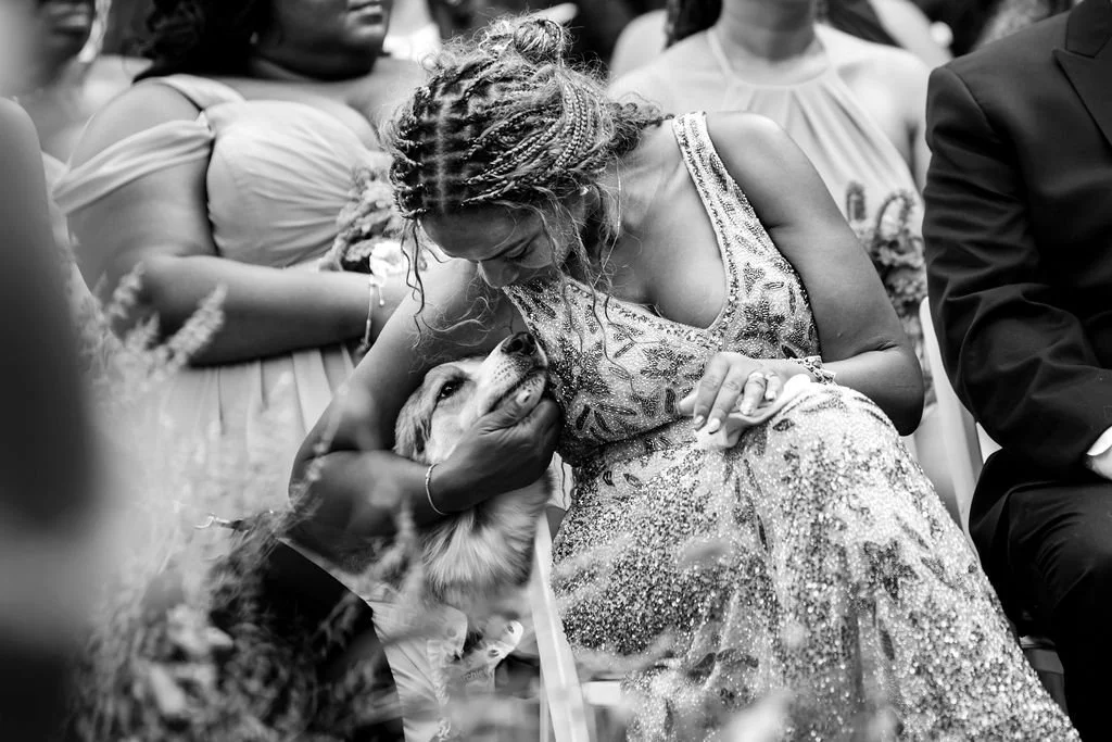 A woman touching and interacting with a dog during a wedding reception at Lambert's Cove Inn on Martha's Vineyard, surrounded by other people dressed in formal attire.