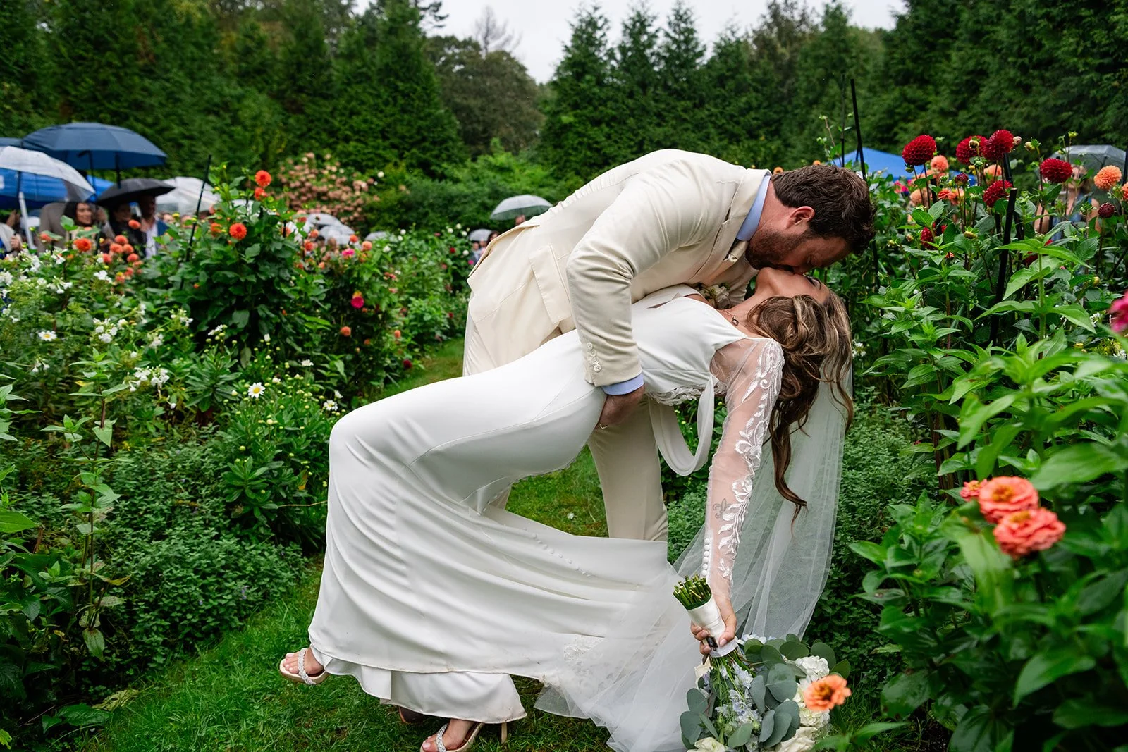 A wedding couple kissing in the English garden at Lambert's Cove Inn on Martha's Vineyard with greenery and blooming flowers, with guests holding umbrellas in the background.