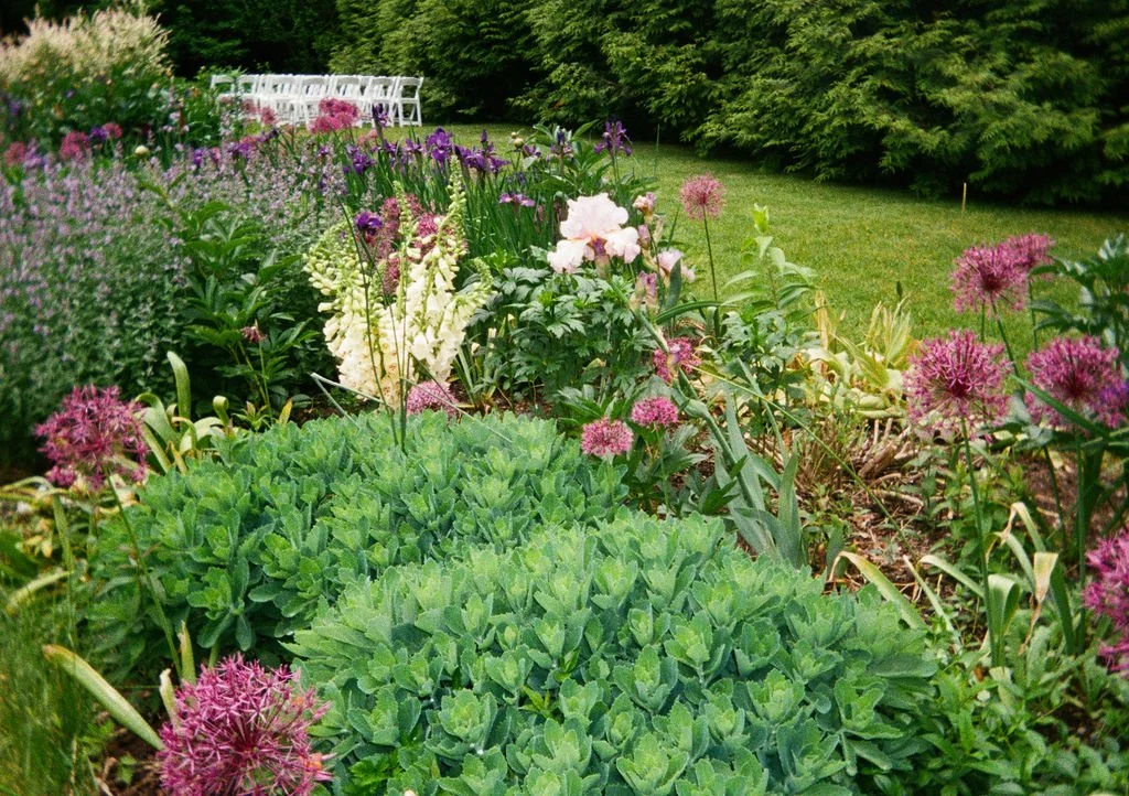 A garden at Lambert's Cove Inn on Martha's Vineyard with colorful flowers and green bushes, with white chairs visible in the background.