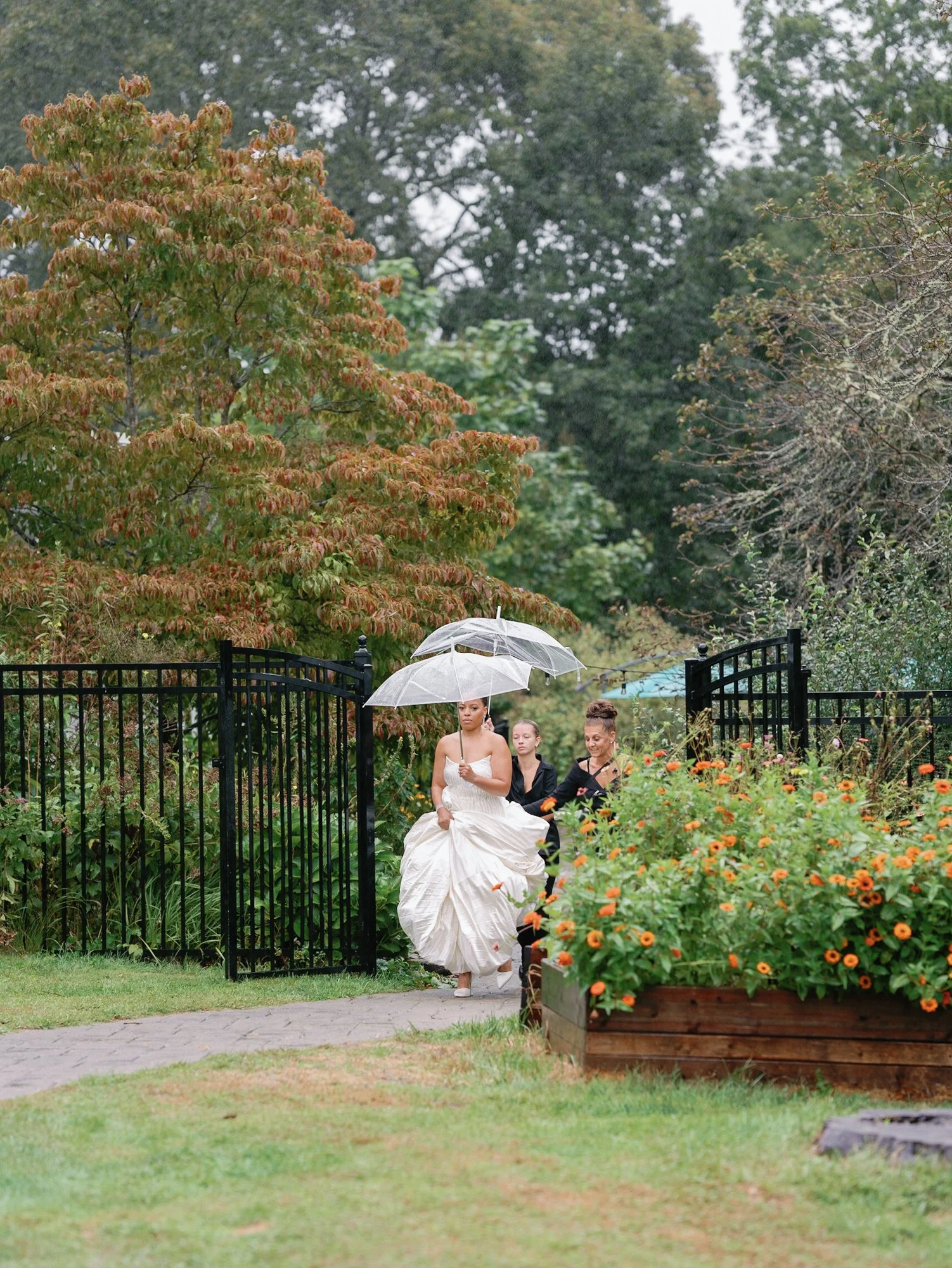 A woman in a white dress walking through a black metal gate holding a clear umbrella at Lambert's Cove Inn on Martha's Vineyard. There are two women walking behind her, and lush green trees and colorful flowers surround the scene on a rainy day.