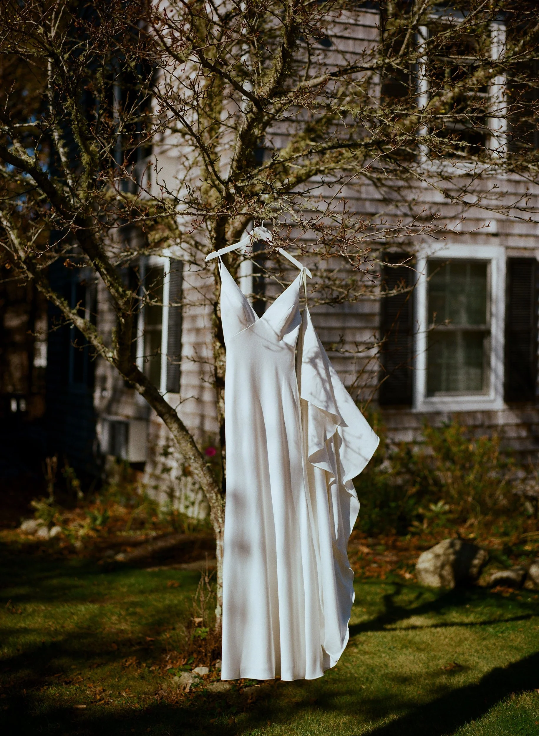 A white dress hanging on a tree branch outside a house with brick walls and windows, during daylight.