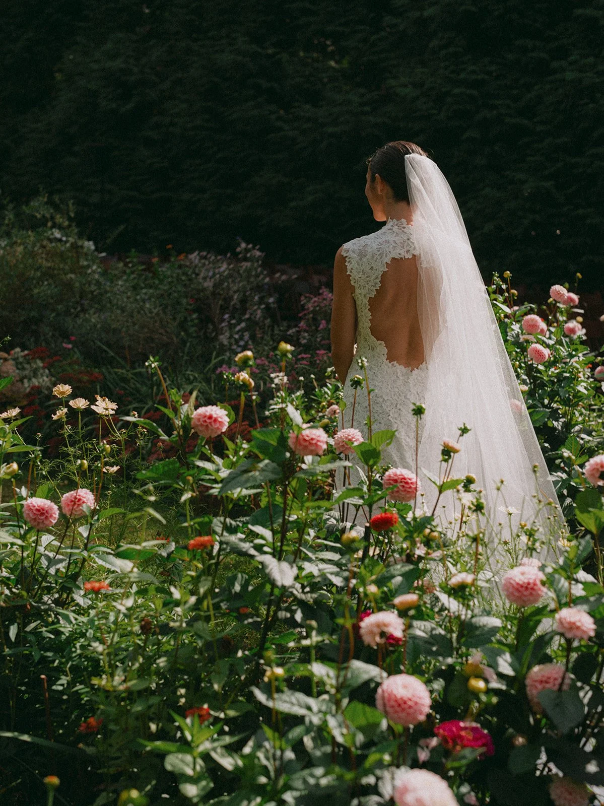 Olivia & Jay // October 5, 2024
