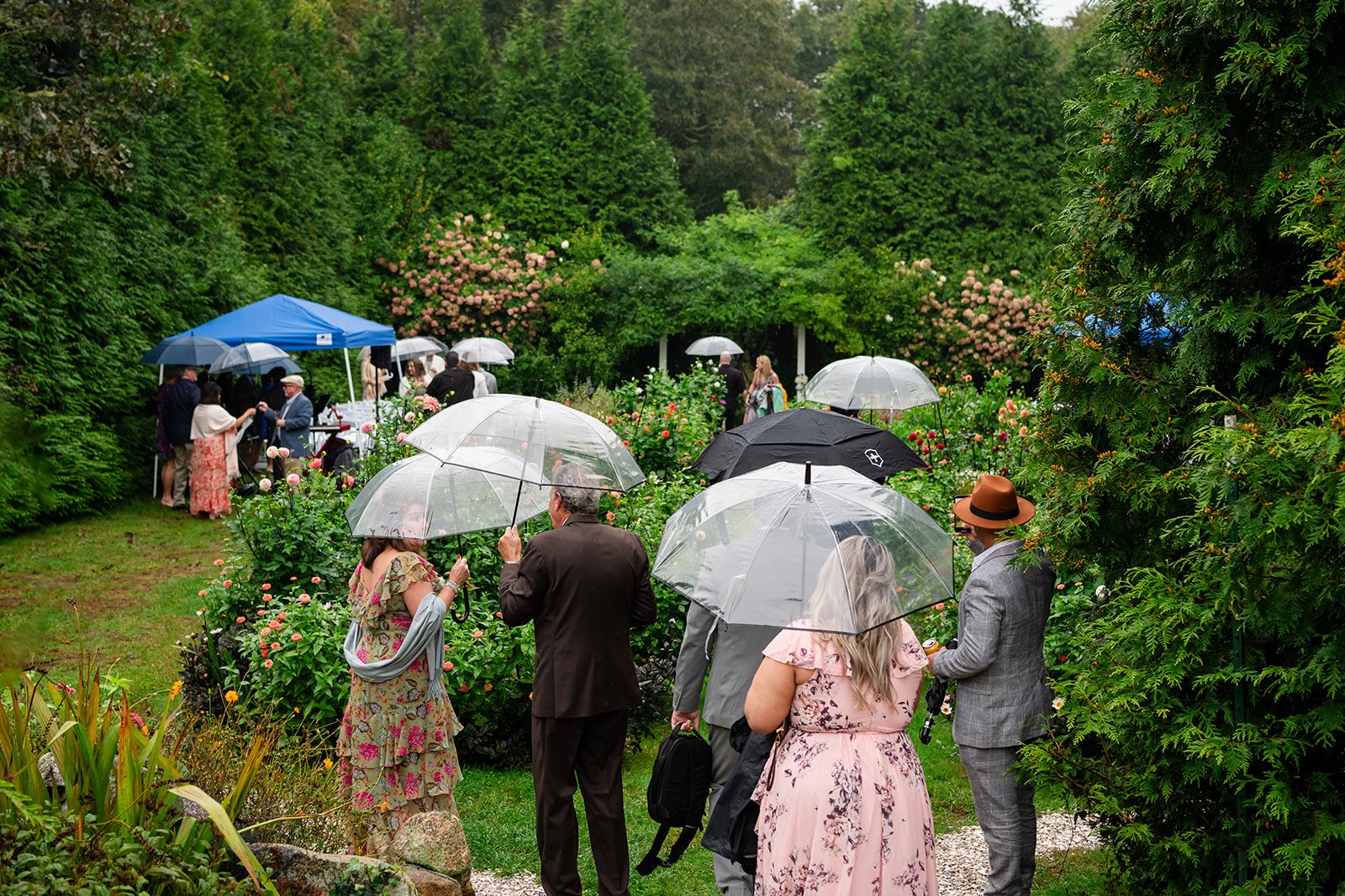 People at a wedding gathering at Lambert's Cove Inn on Martha's Vineyard, holding umbrellas on a rainy day surrounded by lush greenery and flowering plants.