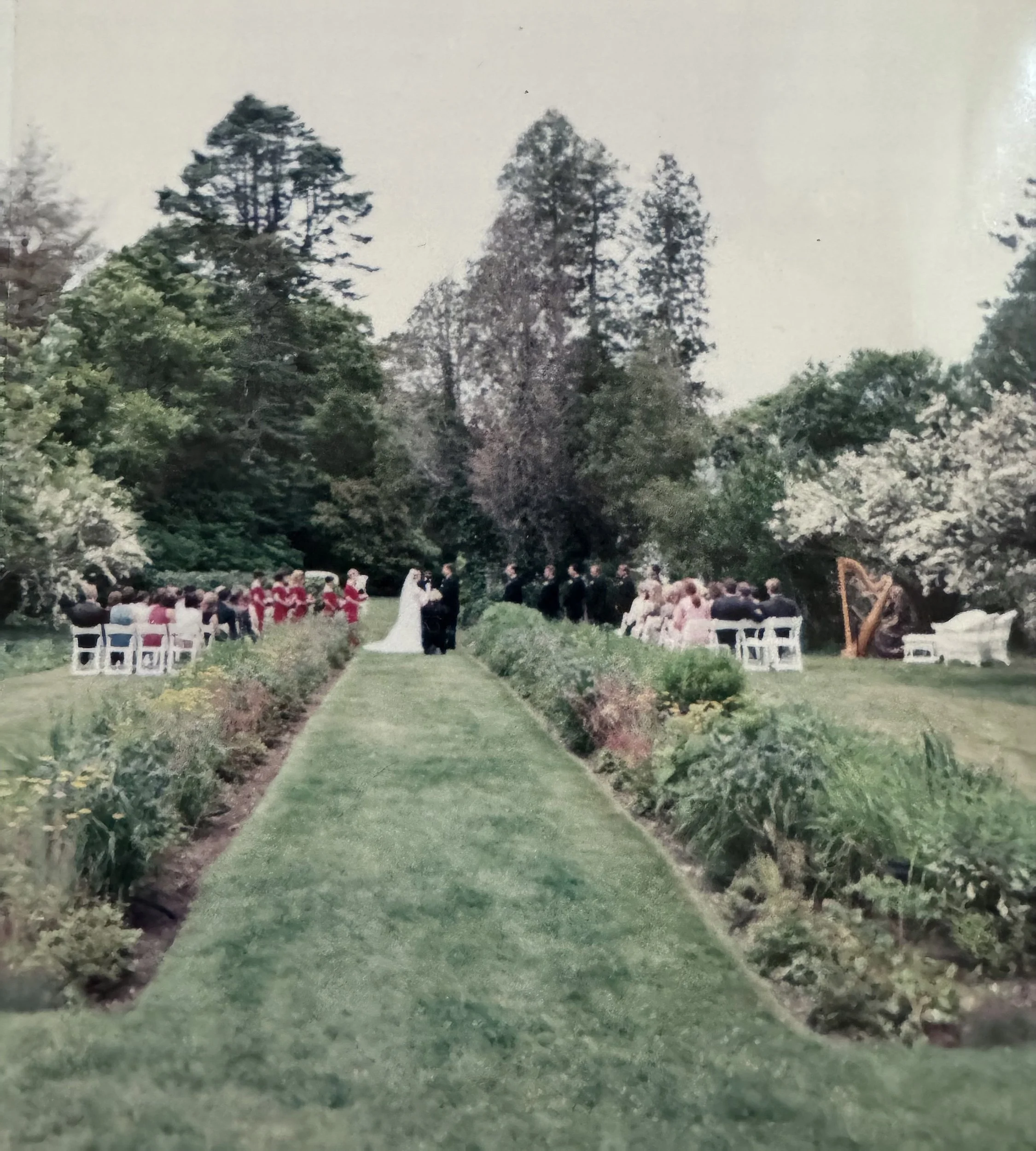 A wedding ceremony outdoor in a garden with guests seated facing the couple and officiant, lush green trees and bushes, and a pathway leading to the ceremony area.
