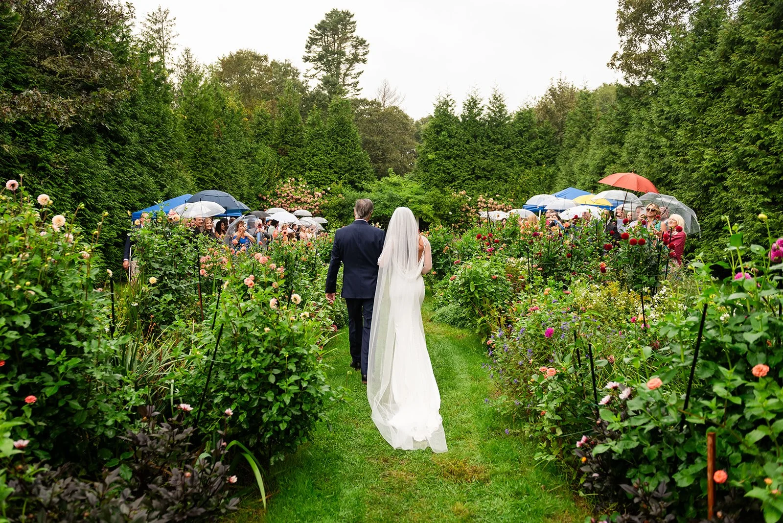 A bride and groom walking through a garden aisle during a wedding ceremony at Lambert's Cove Inn on Martha's Vineyard, with guests holding umbrellas in the background on a rainy day.