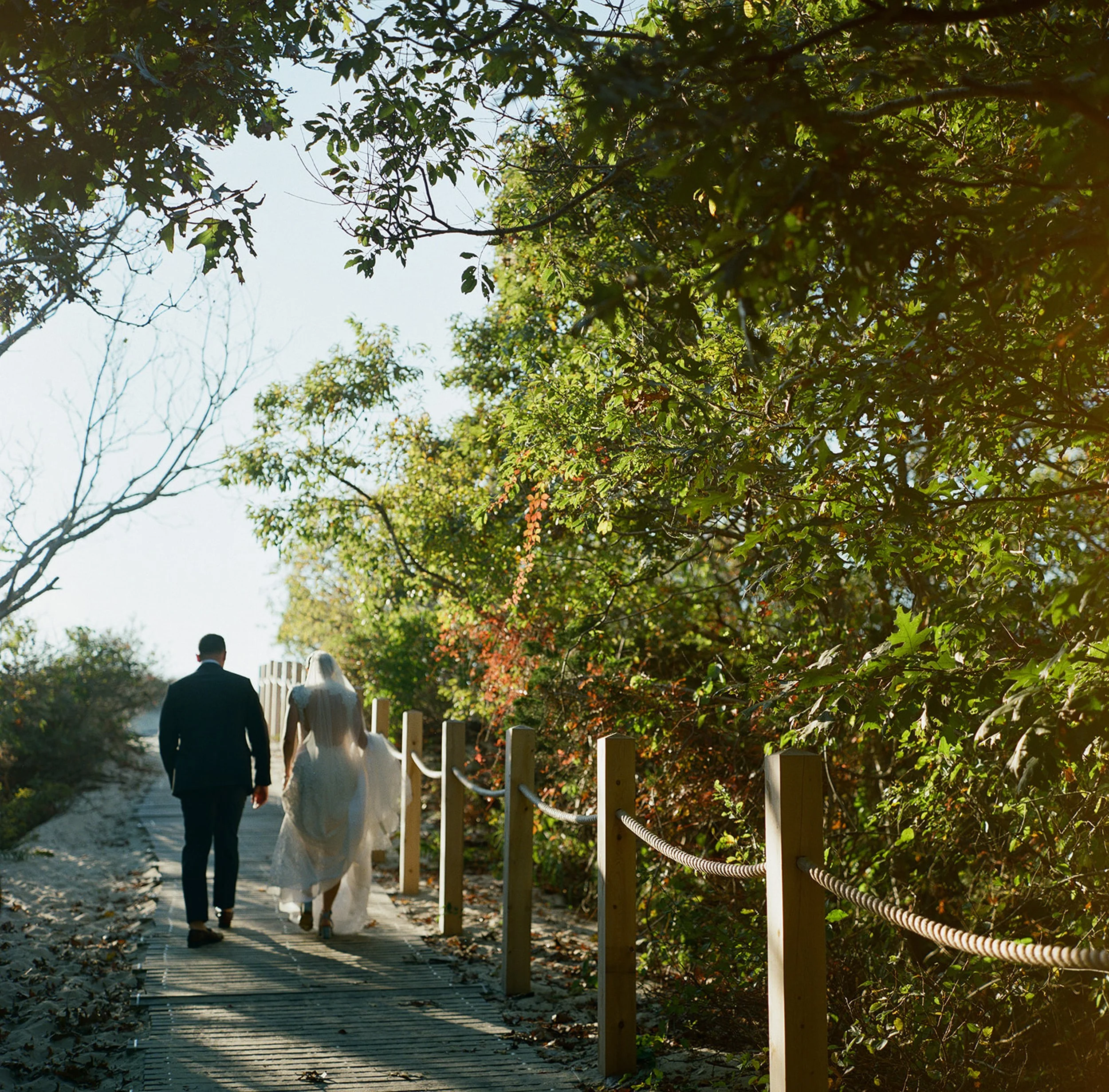 People walking on a wooden path surrounded by green trees and bushes, with sunlight filtering through the leaves.