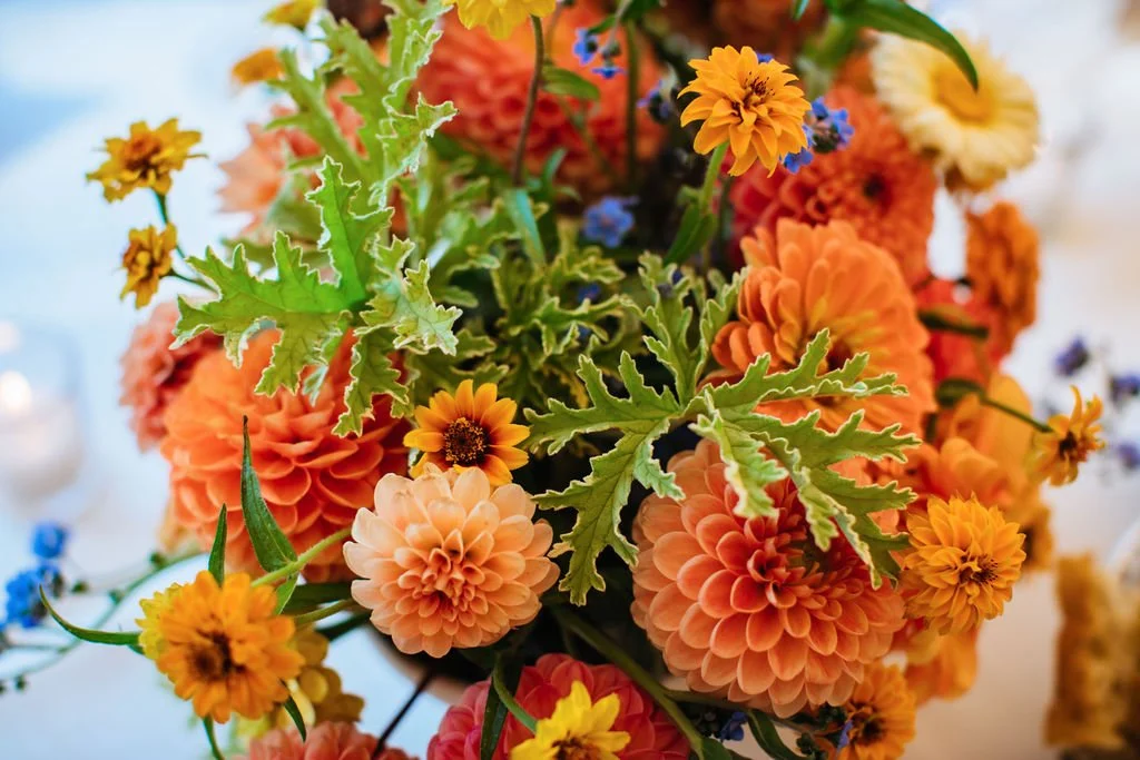 A colorful bouquet of flowers featuring orange dahlias, yellow marigolds, small blue flowers, and green foliage. The flowers were custom grown and designed by Bridget Sampson at Lambert's Cove Inn on Martha's Vineyard.