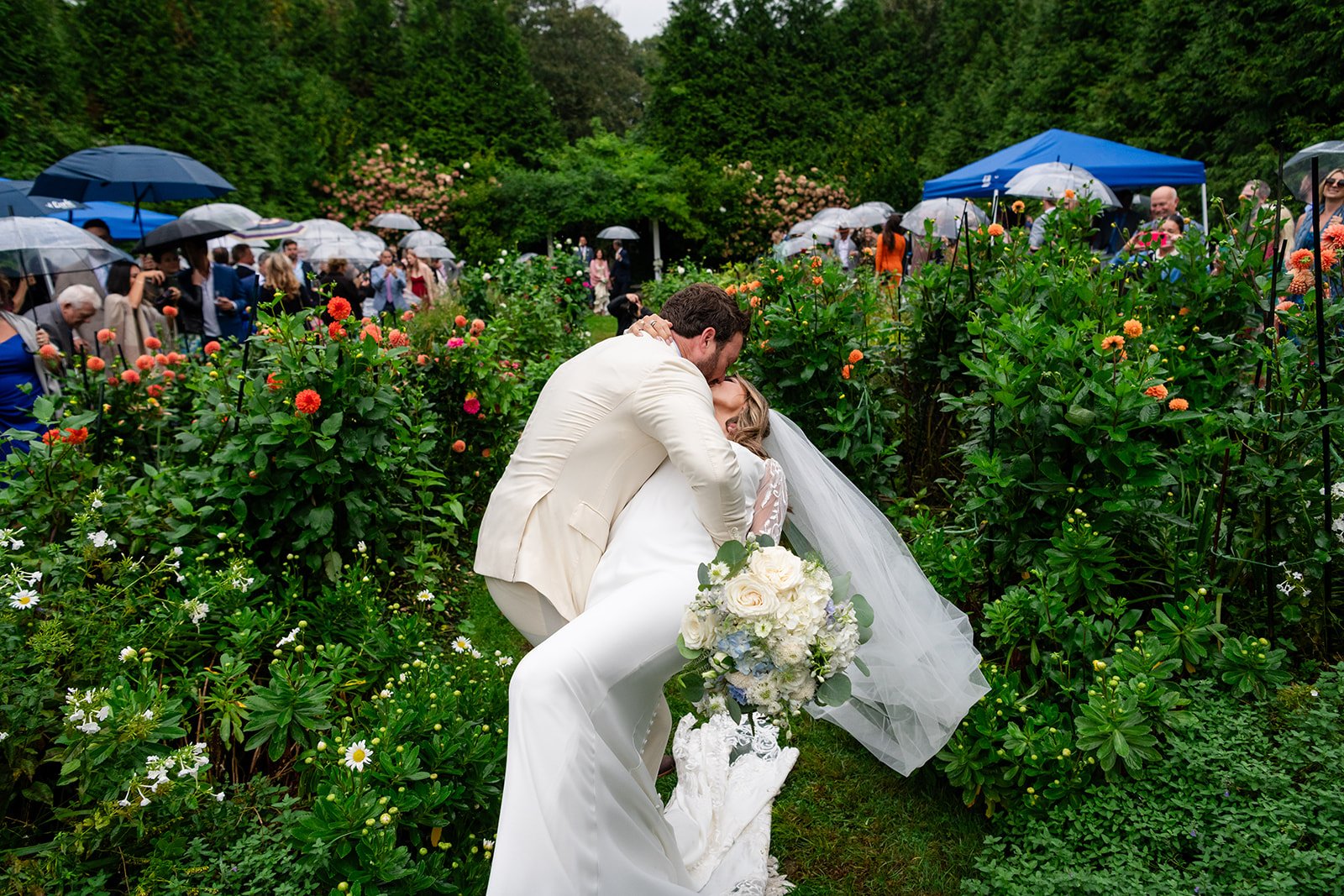 A newlywed couple kissing in a garden surrounded by flowering bushes in the English garden at Lambert's Cove Inn on Martha's Vineyard, with a crowd of wedding guests with umbrellas in the background.
