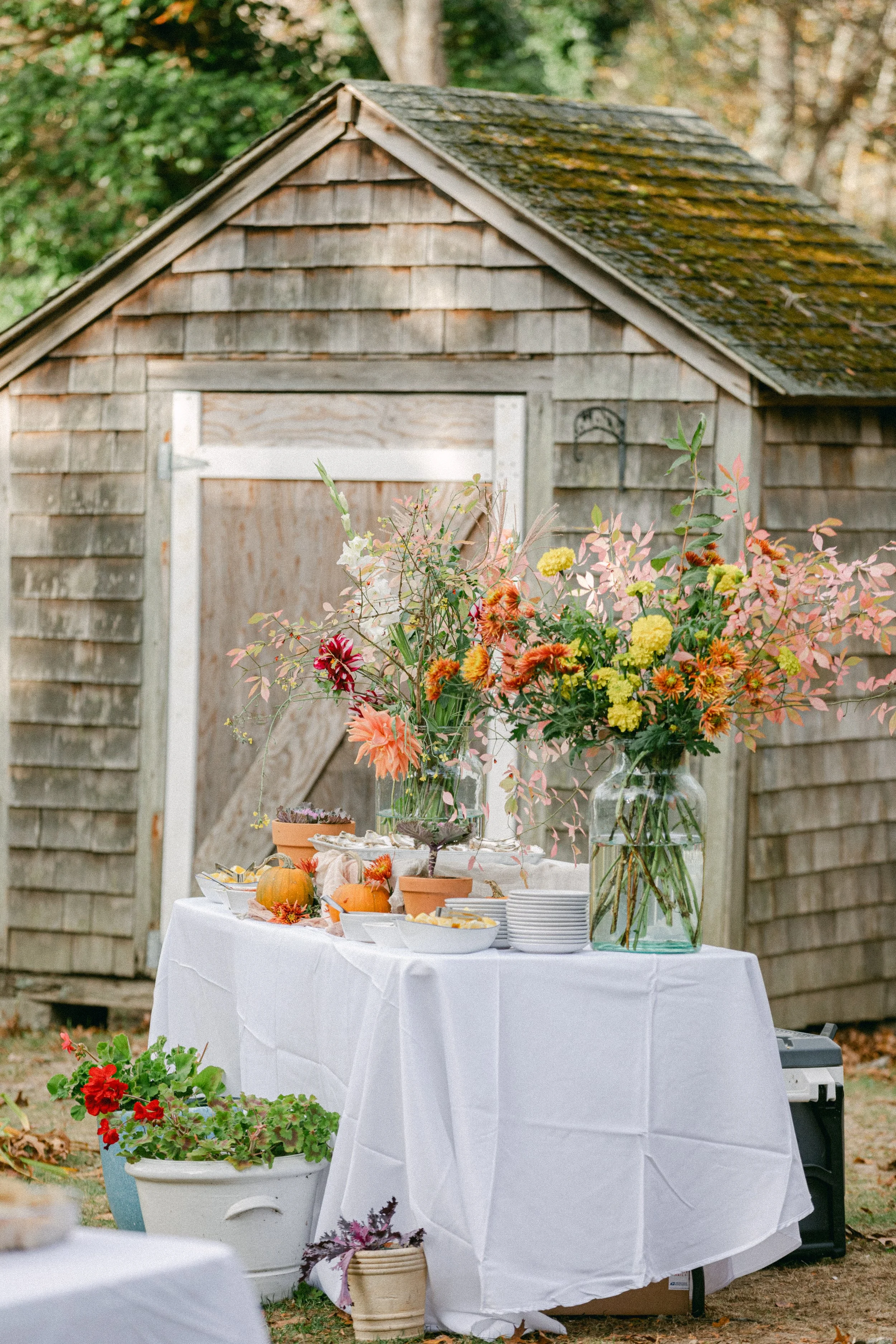 Outdoor party setup with a table covered in a white tablecloth, decorated with potted plants, flowers, pumpkins, and serving dishes. In the background, there is a rustic wooden shed and trees.