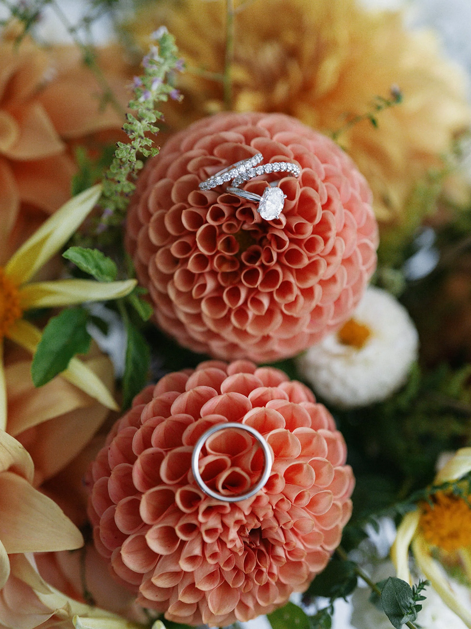 Close-up of peach-colored dahlias with wedding rings resting on the flower. One ring has a large central diamond, and the other is a diamond eternity band. Surrounding flowers include cream-colored lilies, small purple and green flowers, and various green leaves.
