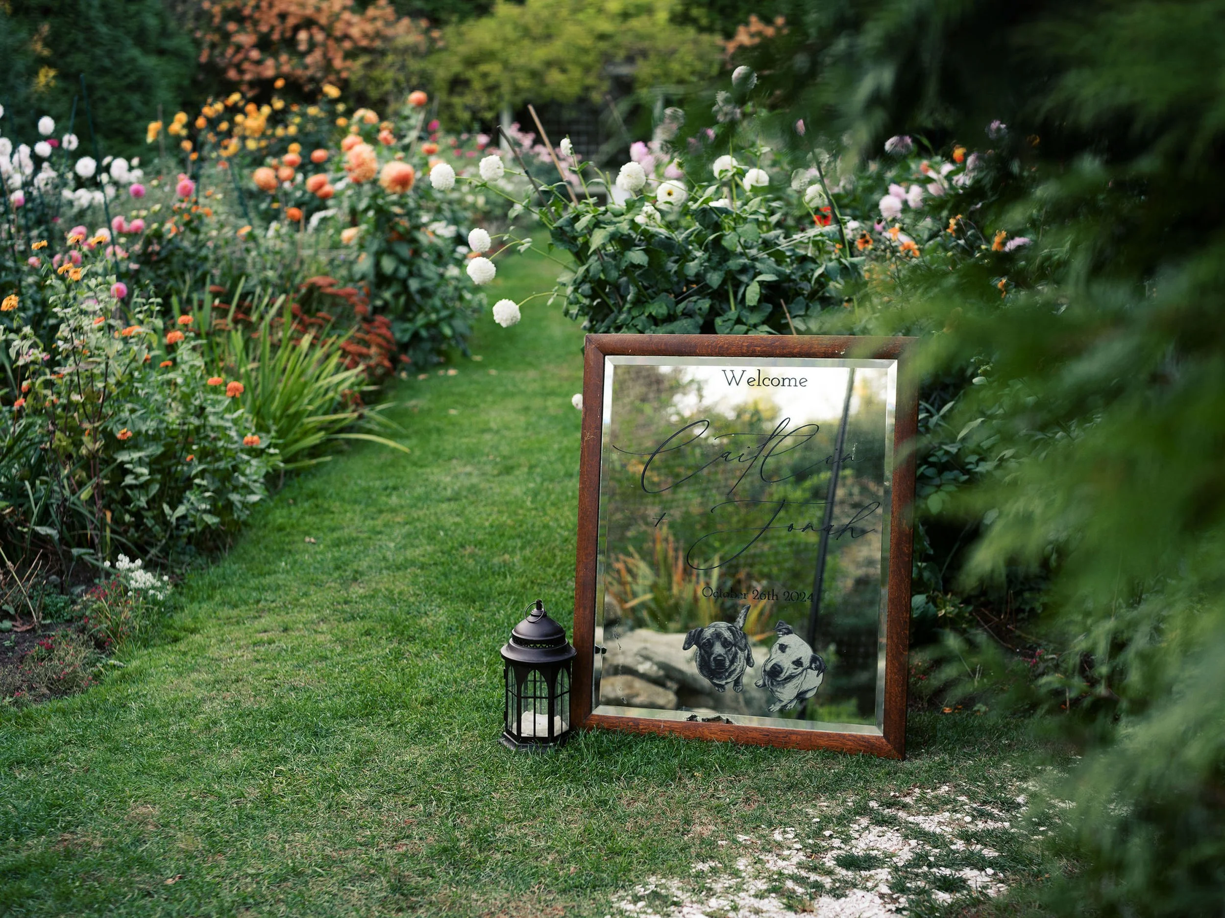 The English garden wedding venue at Lambert's Cove Inn on Martha's Vineyard, with colorful flowers and a wooden framed mirror reflecting a dog illustration. There is a lantern on the ground near the mirror.
