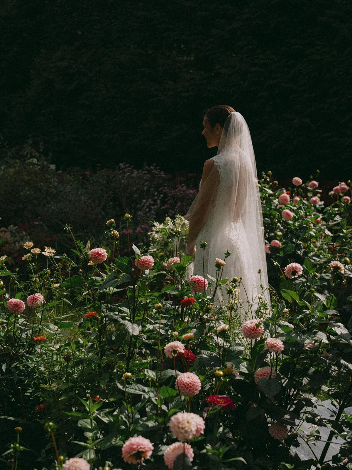 A woman in a wedding dress with a veil standing among pink and white flowers in a garden at night during a wedding reception at Lambert's Cove Inn on Martha's Vineyard.
