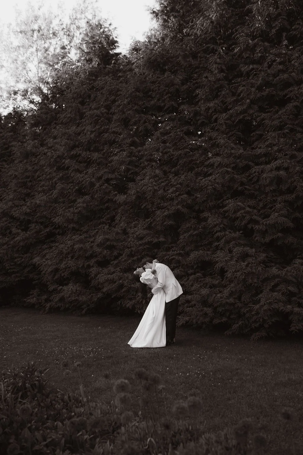 A Black and White photo of a couple in wedding attire, sharing a kiss outdoors in front of a large dense tree at Lambert's Cove Inn on Martha's Vineyard.