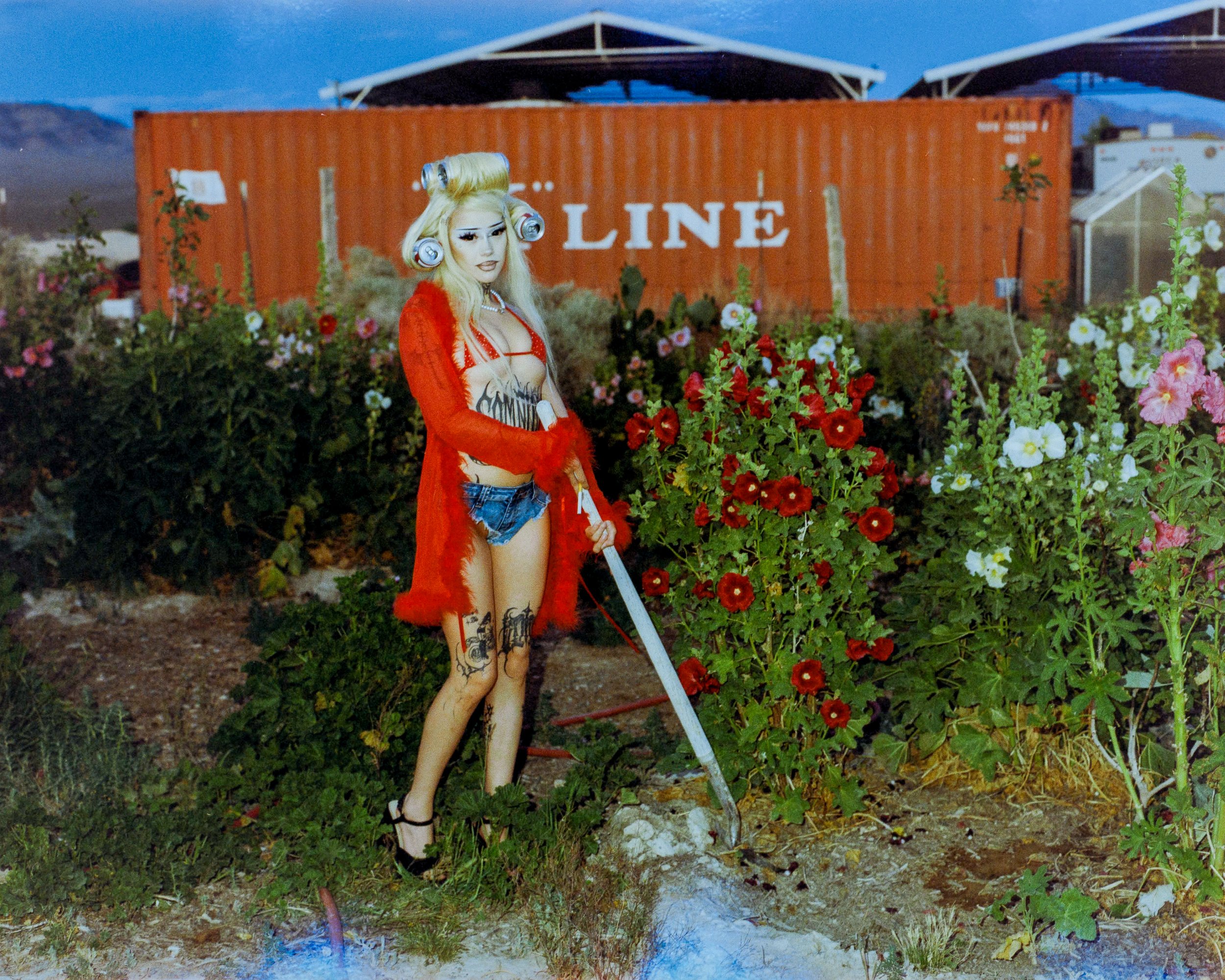 Portra_800_P67_Bren-1.jpg