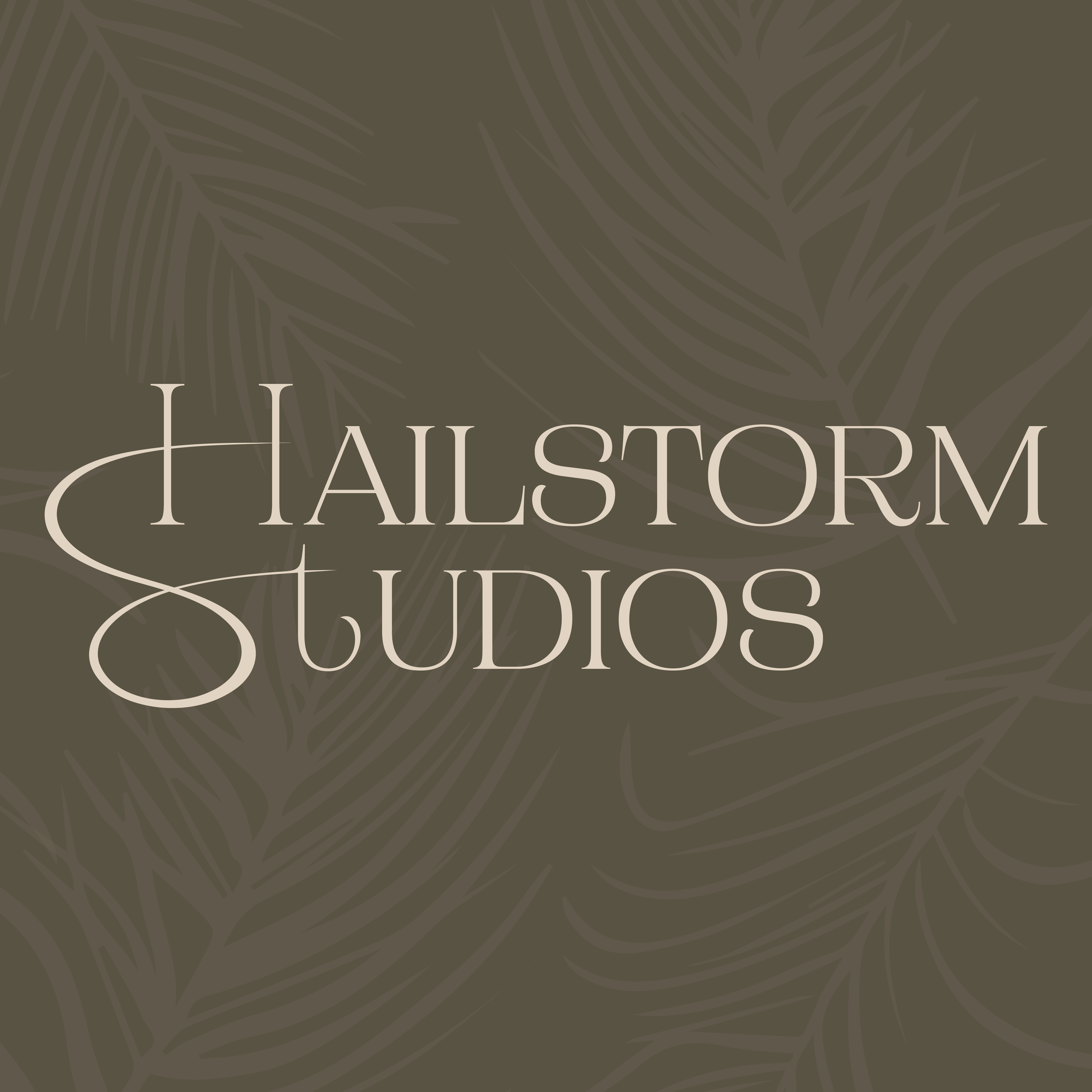 Hailstorm Studios