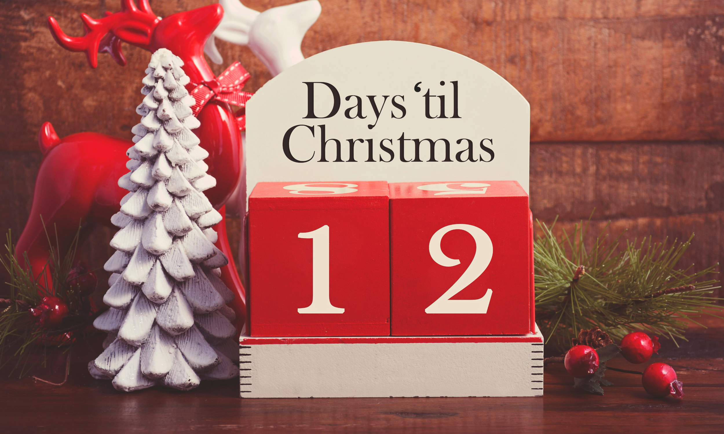 12 Days of Christmas