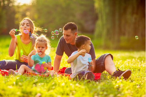 5 Common Insurance Myths