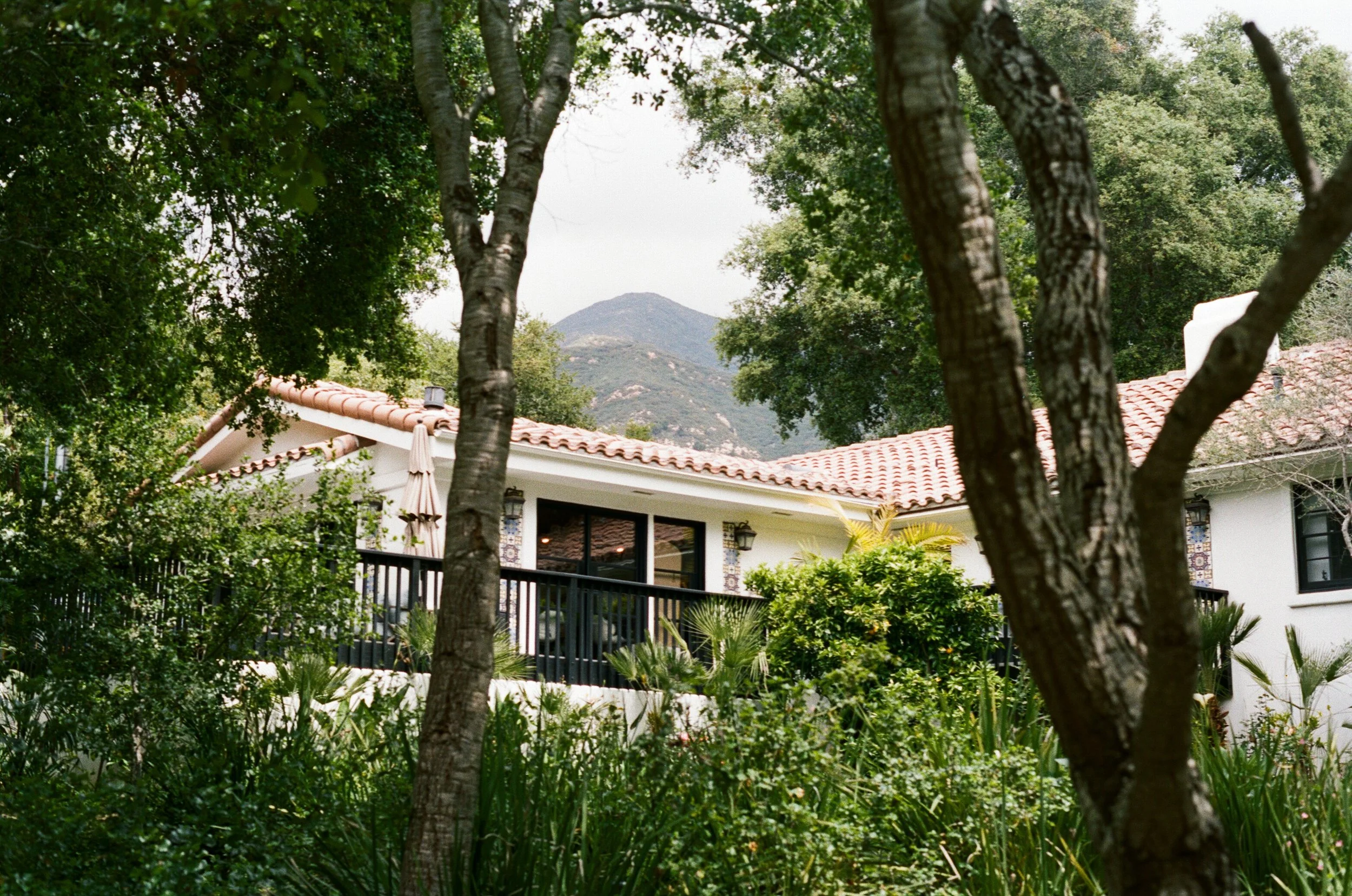 Bianca_Kyle_City Hall-8.jpg