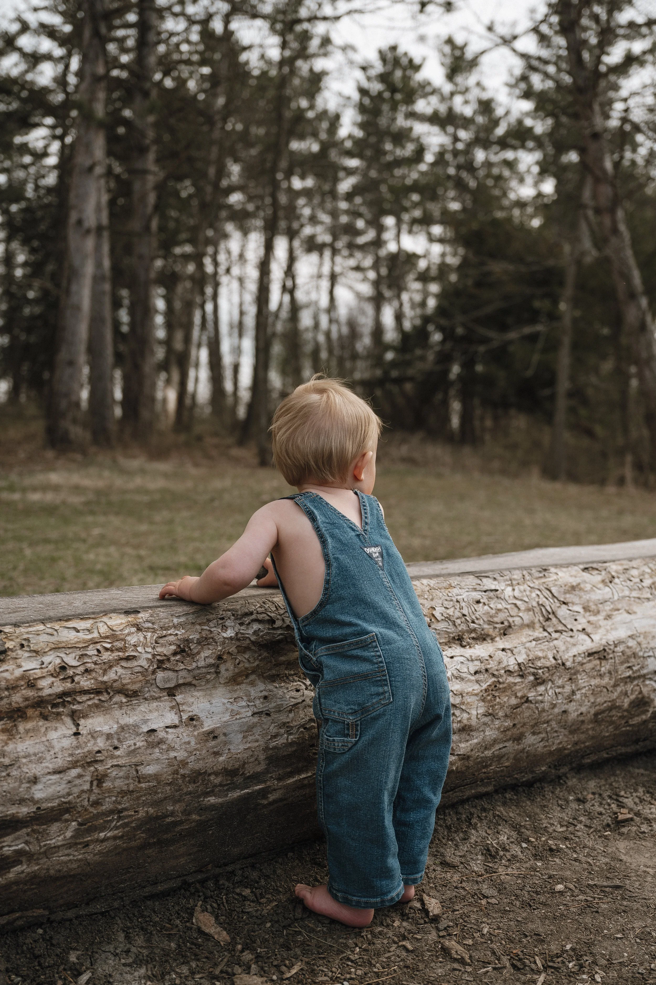Young child with blonde hair wearing denim overalls, standing barefoot outdoors near a fallen log, with a forest of trees and overcast sky in the background.