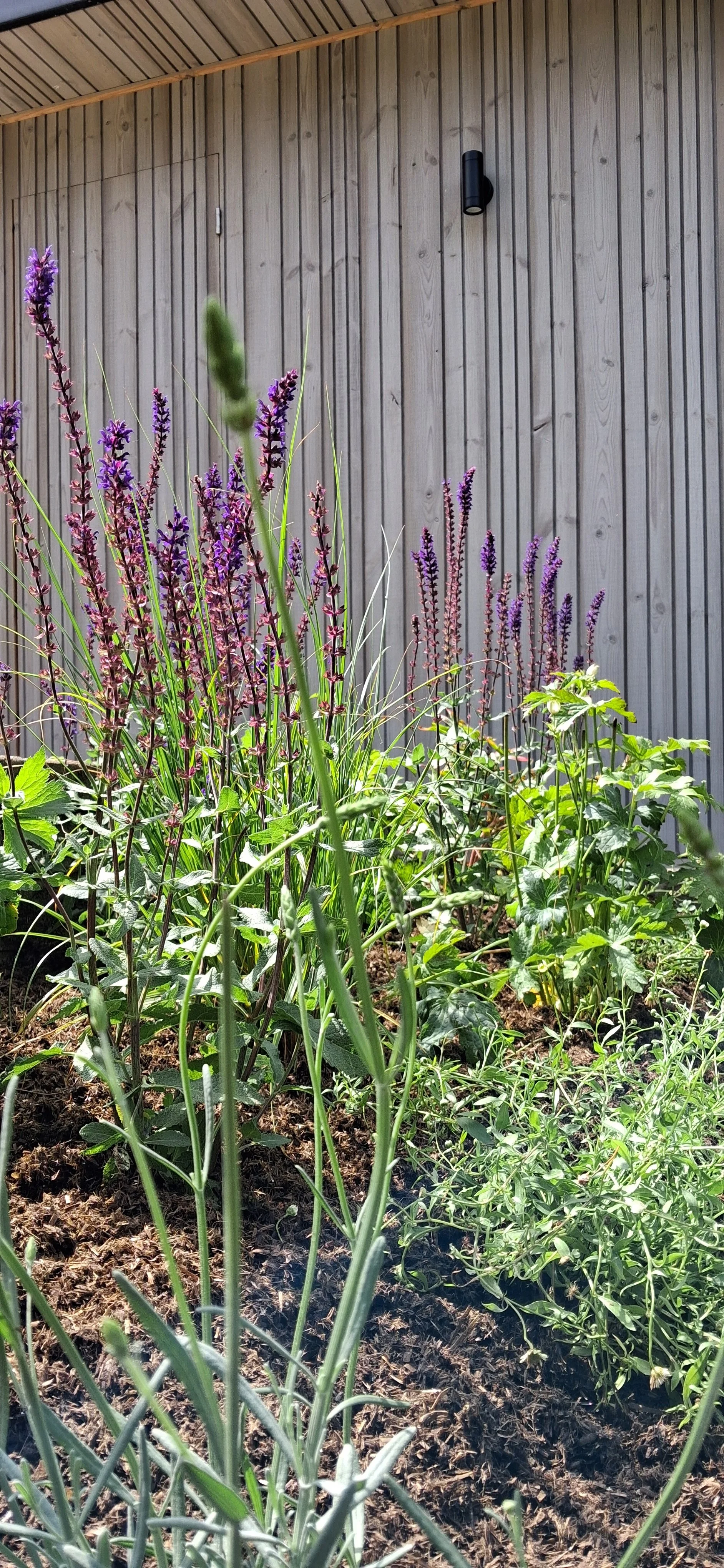 20260715_125551.jpg