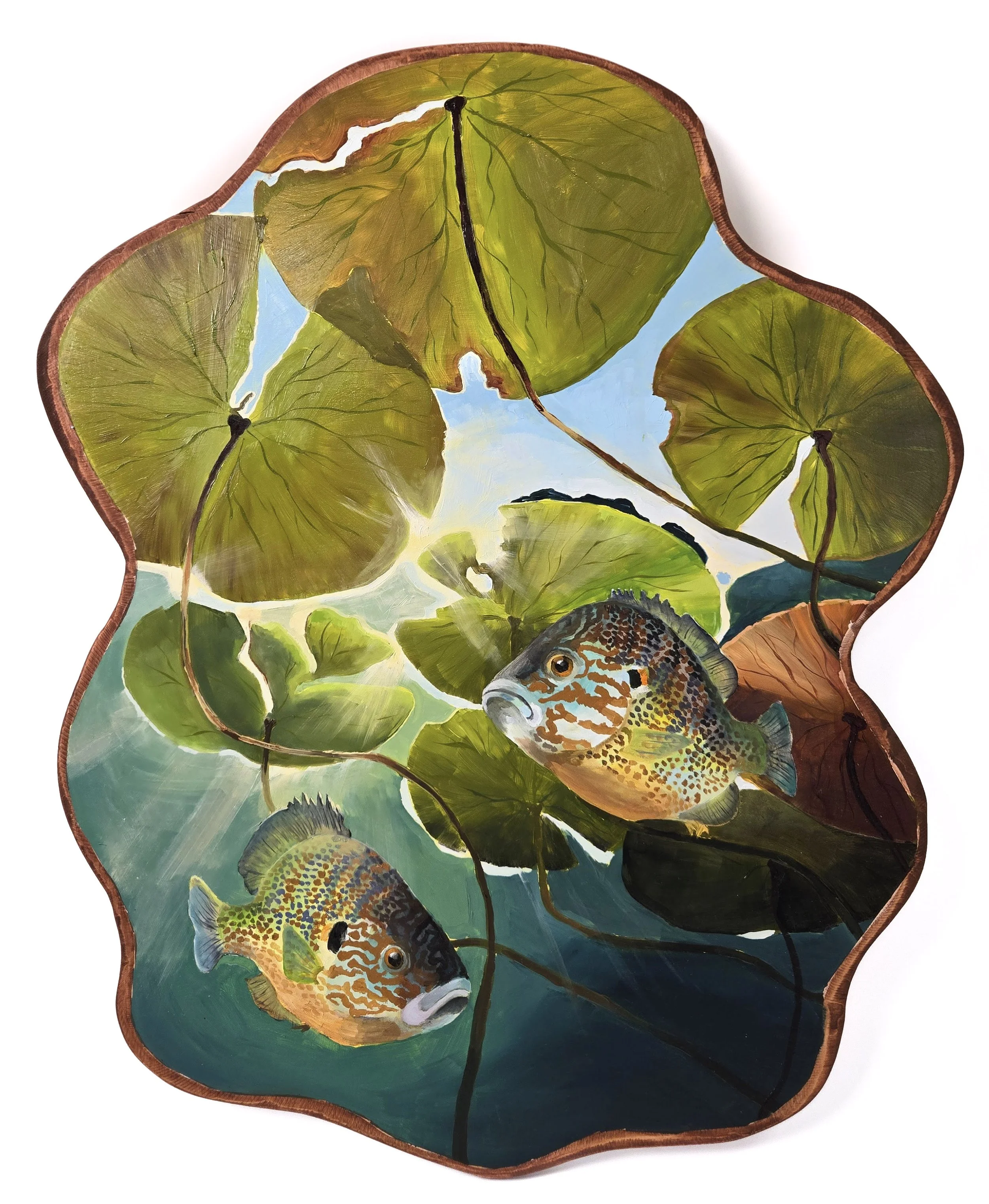 Pumpkinseeds,
Oil on shaped birch panel,
29 x 35,”
2026