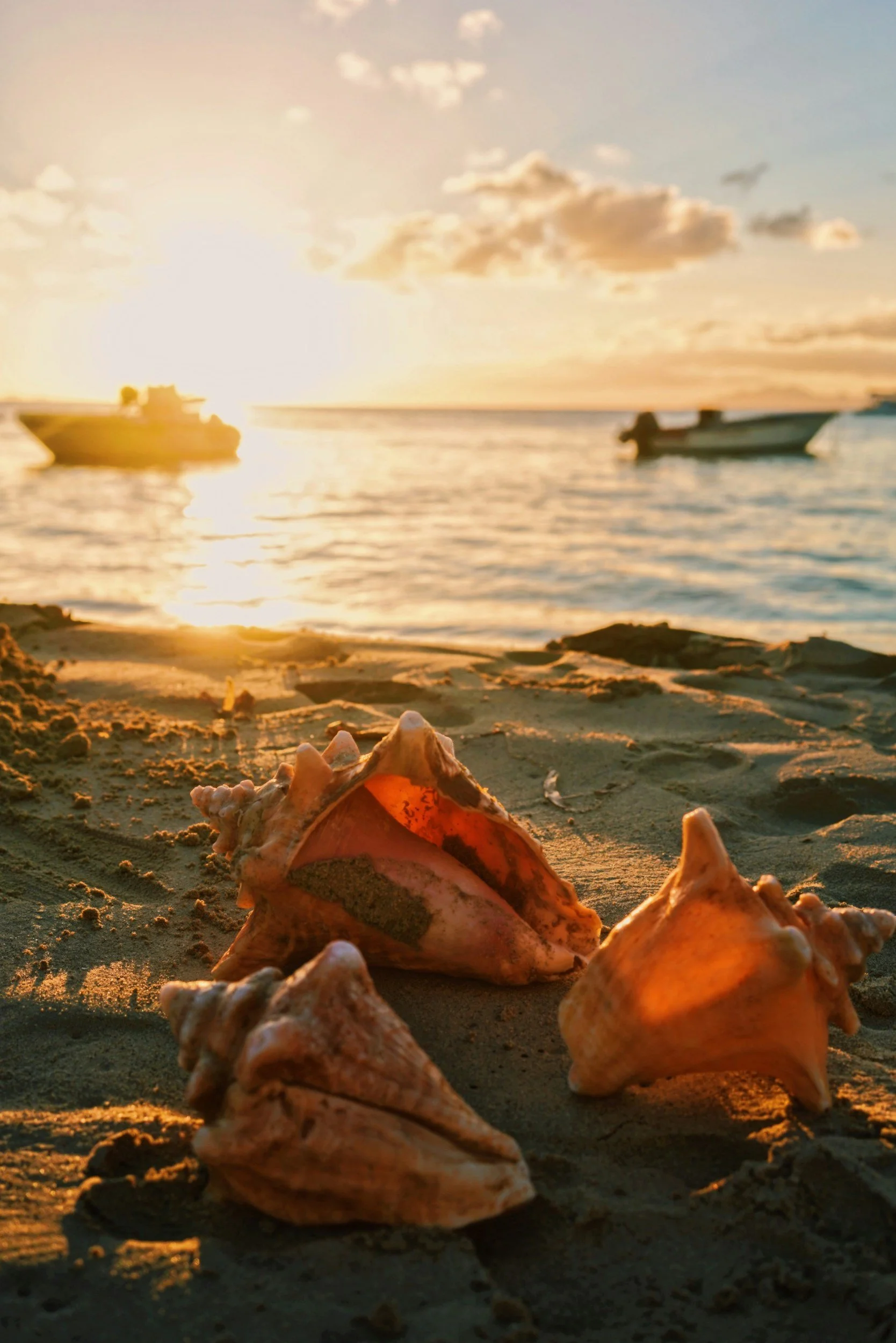 Guadeloupe for elopements: everything you need to know