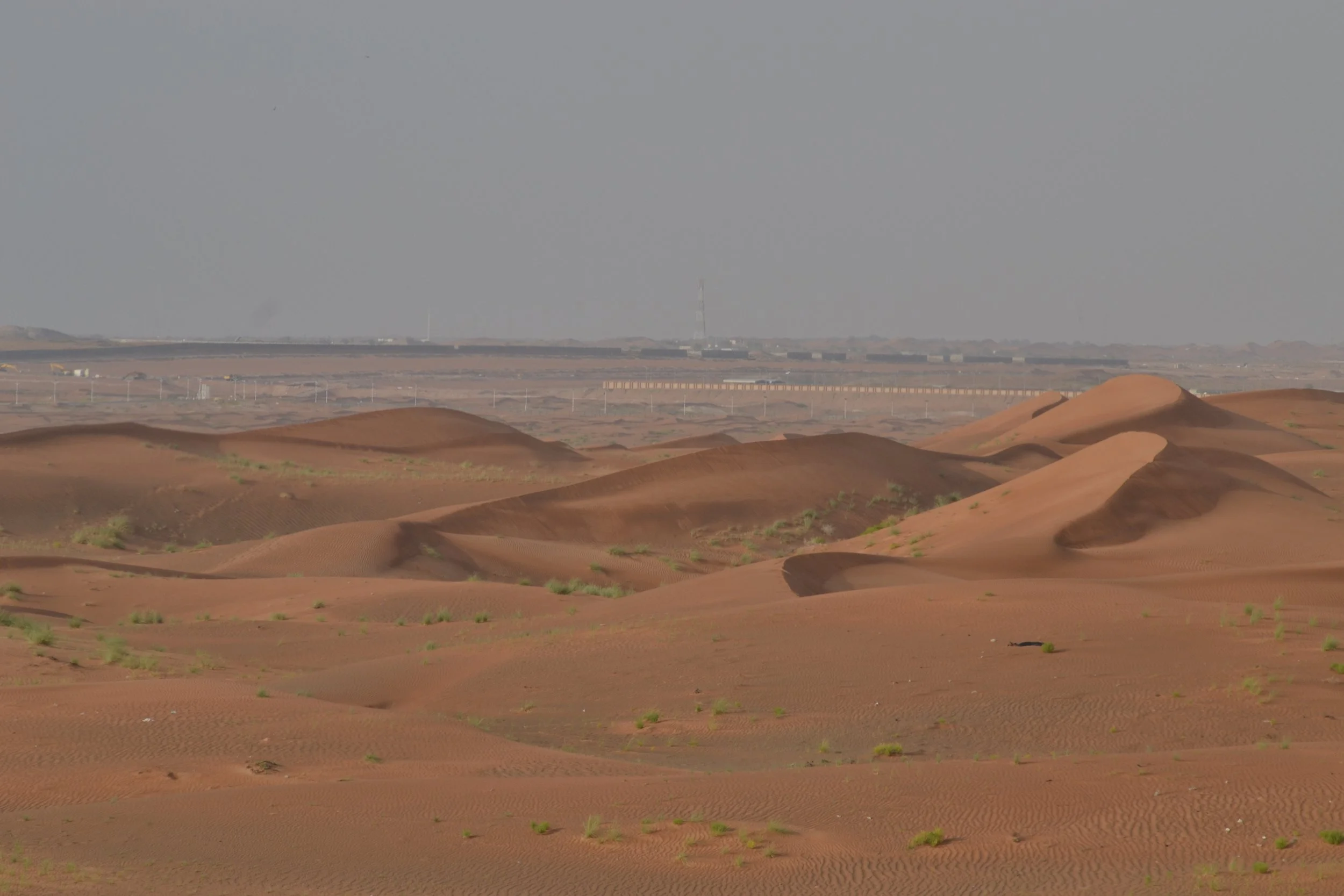 Unexpected Green,
2024, 
Digital photography series.
30 x 40 cm  