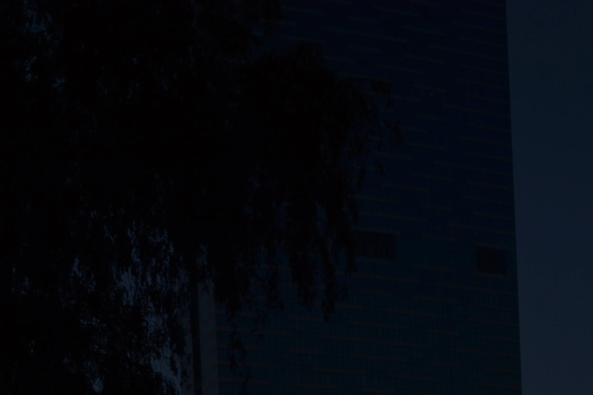 Fragments,
2024,
Digital photography series.
30 x 40 cm  