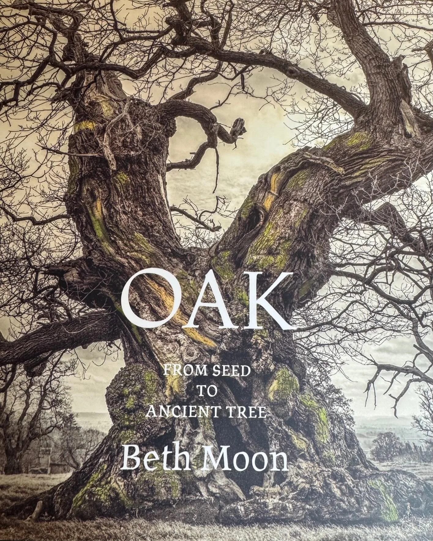 For me, this is just a delicious read and the photography is extraordinary! 🤎