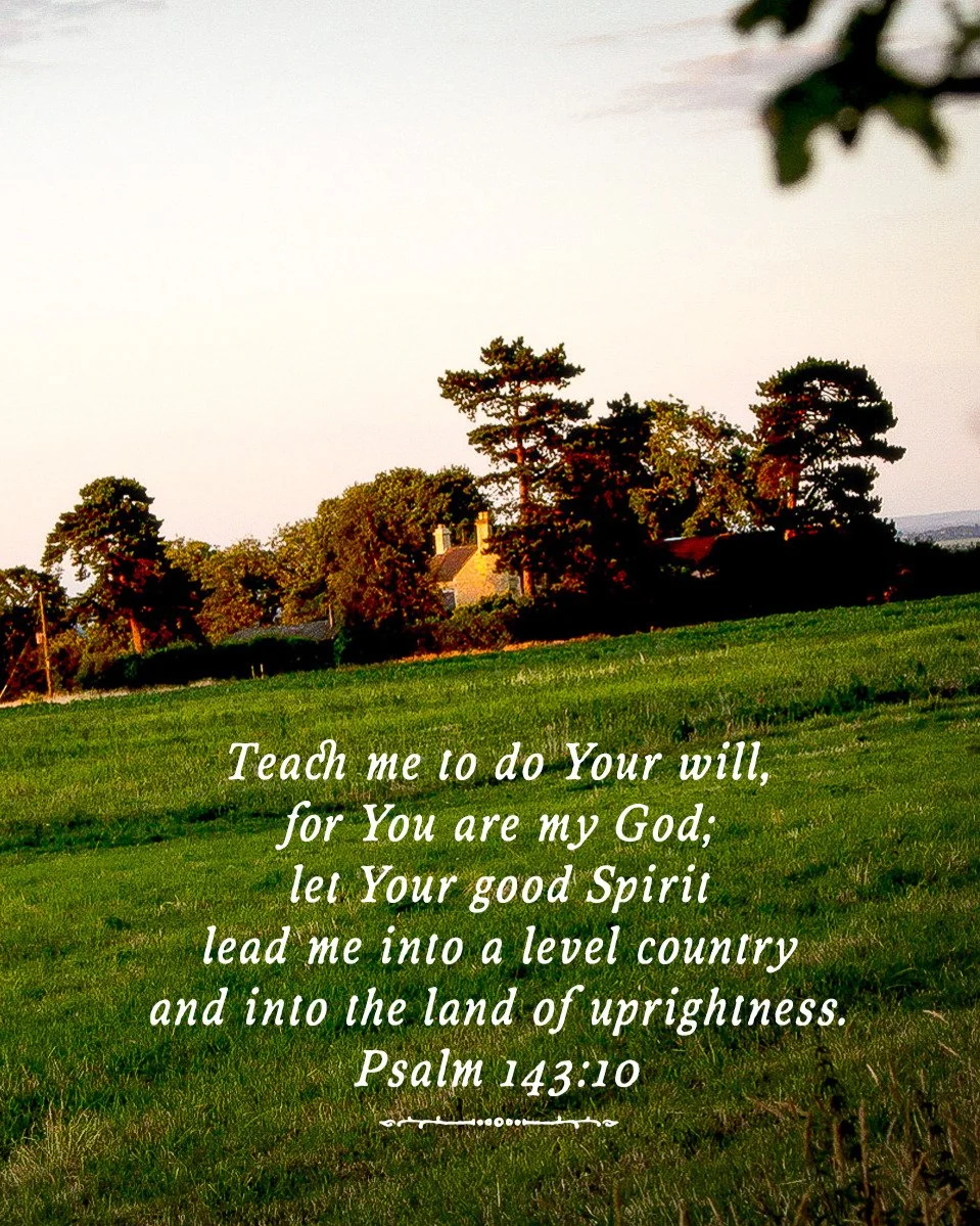 I loved this verse this morning and I love the language it uses, so rich, so trusting, so hoping. I love how the psalmist says "let Your good Spirit lead me...." 

This is where my heart is today, praying that my God will teach me to do His