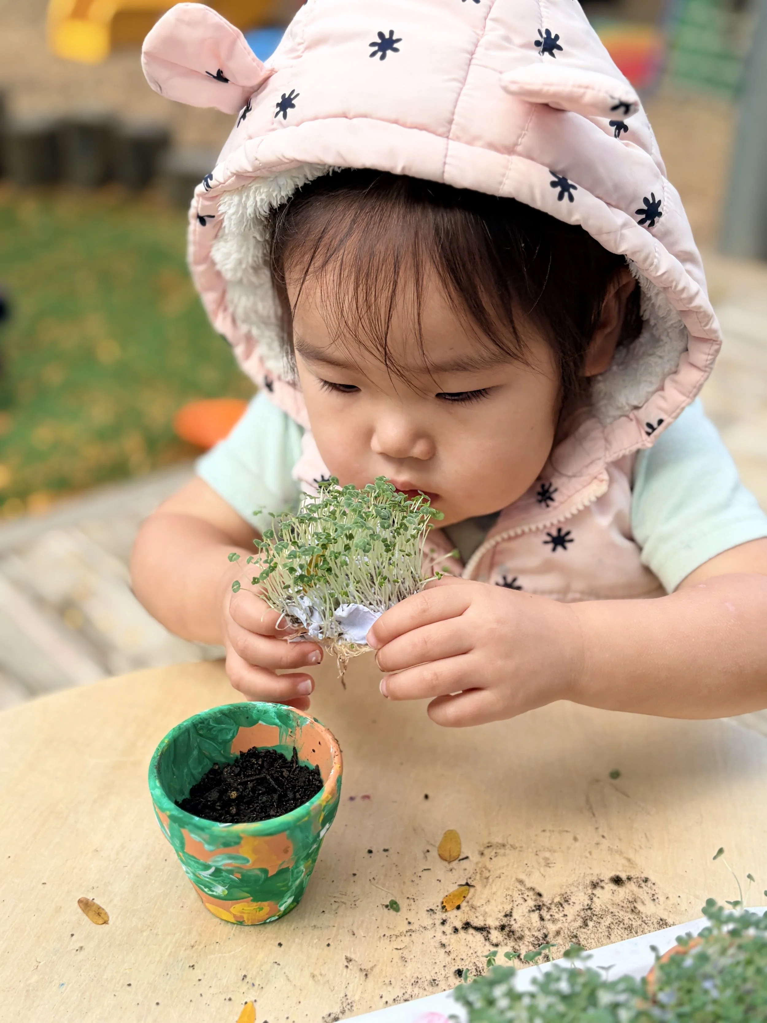 Three Kings Early Learning Centre Babies.jpg