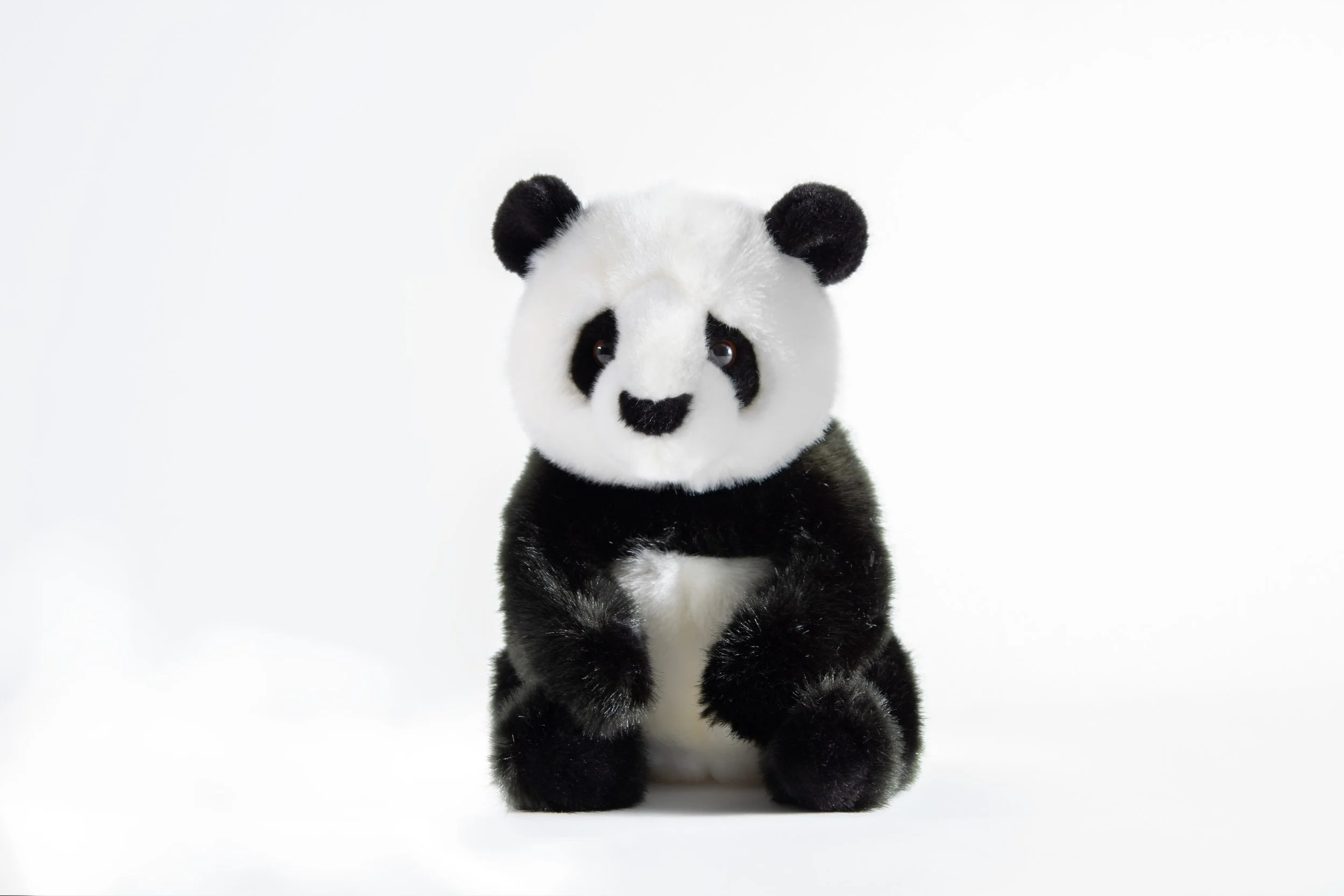 19-Better Panda.jpg
