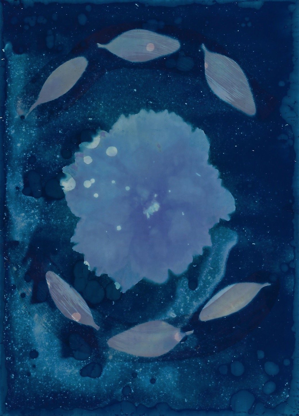 Cyanotype.jpeg