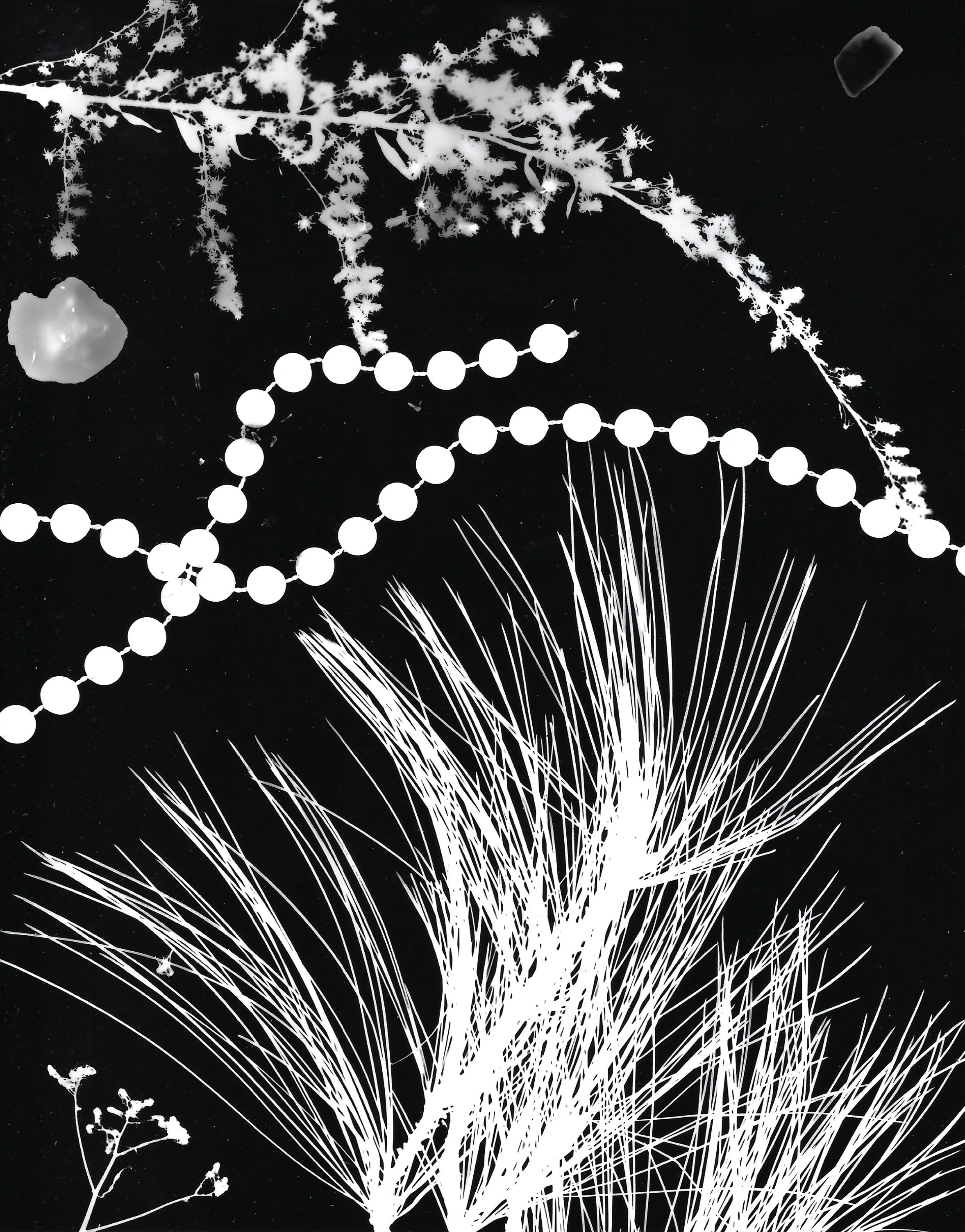 Photogram.jpeg
