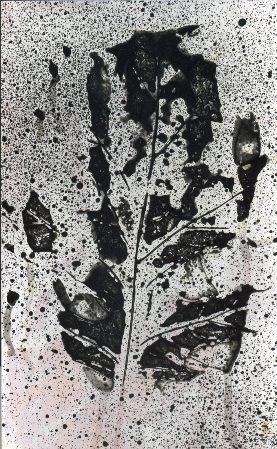 leafhand .jpg