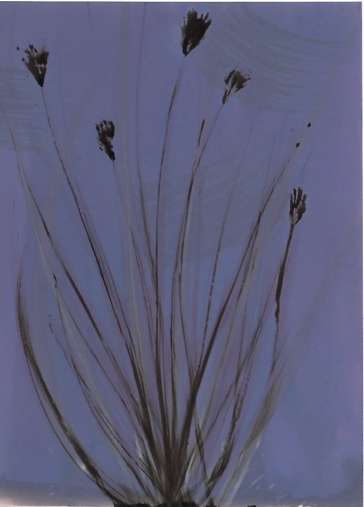 Chemigram.jpeg